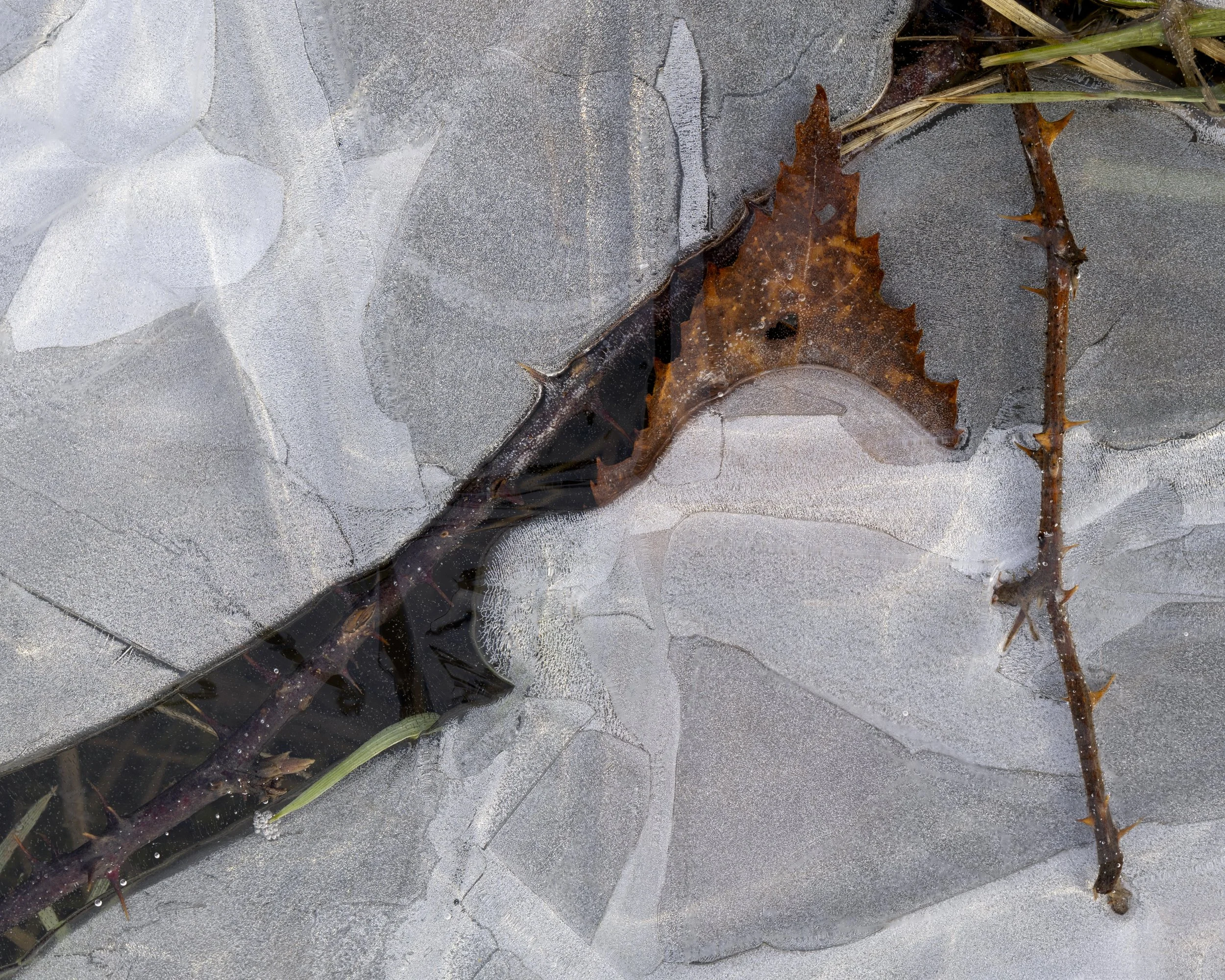 2024-12-05 09-42-18 (B,R8,S2)-Edit.jpg