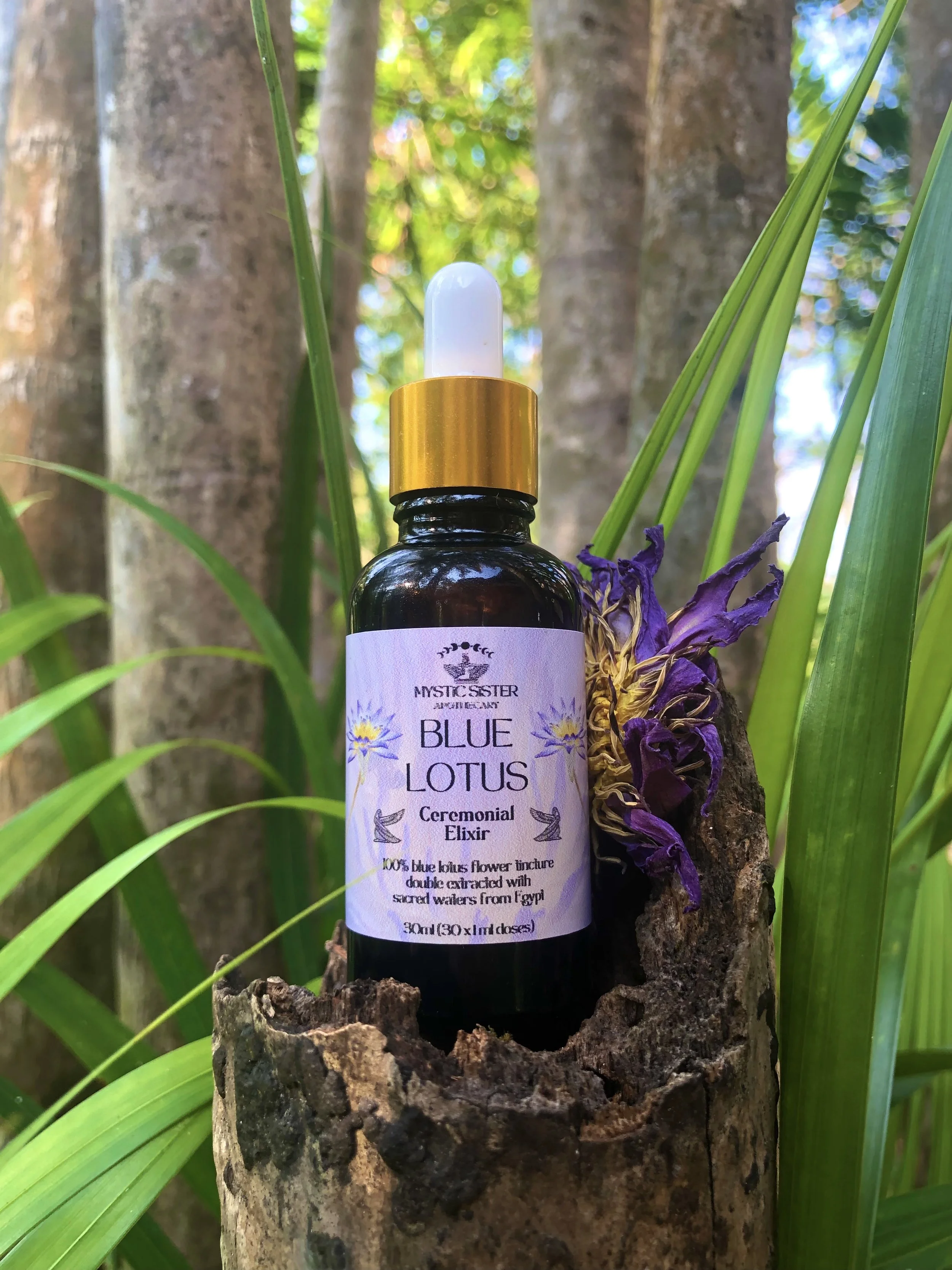 blue lotus tincture copy.jpg