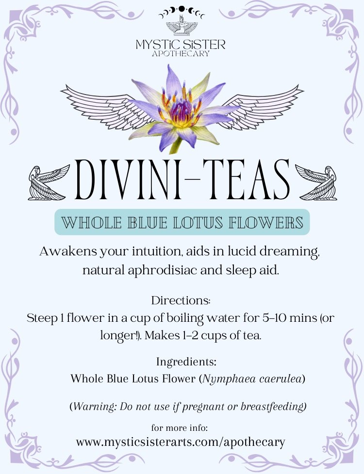 Whole Blue Lotus Flowers
