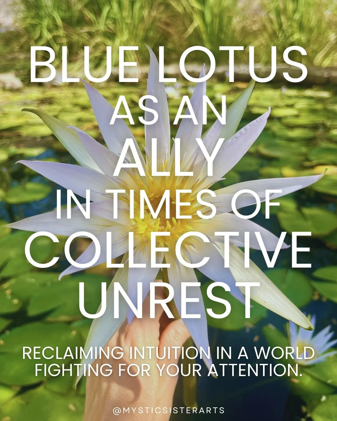 We&rsquo;re living in a time of constant stimulation. 

Political tension. Outrage cycles. Power structures competing for emotional allegiance. An endless stream of content designed to provoke. 

This isn&rsquo;t just external instability. It&rsquo;s