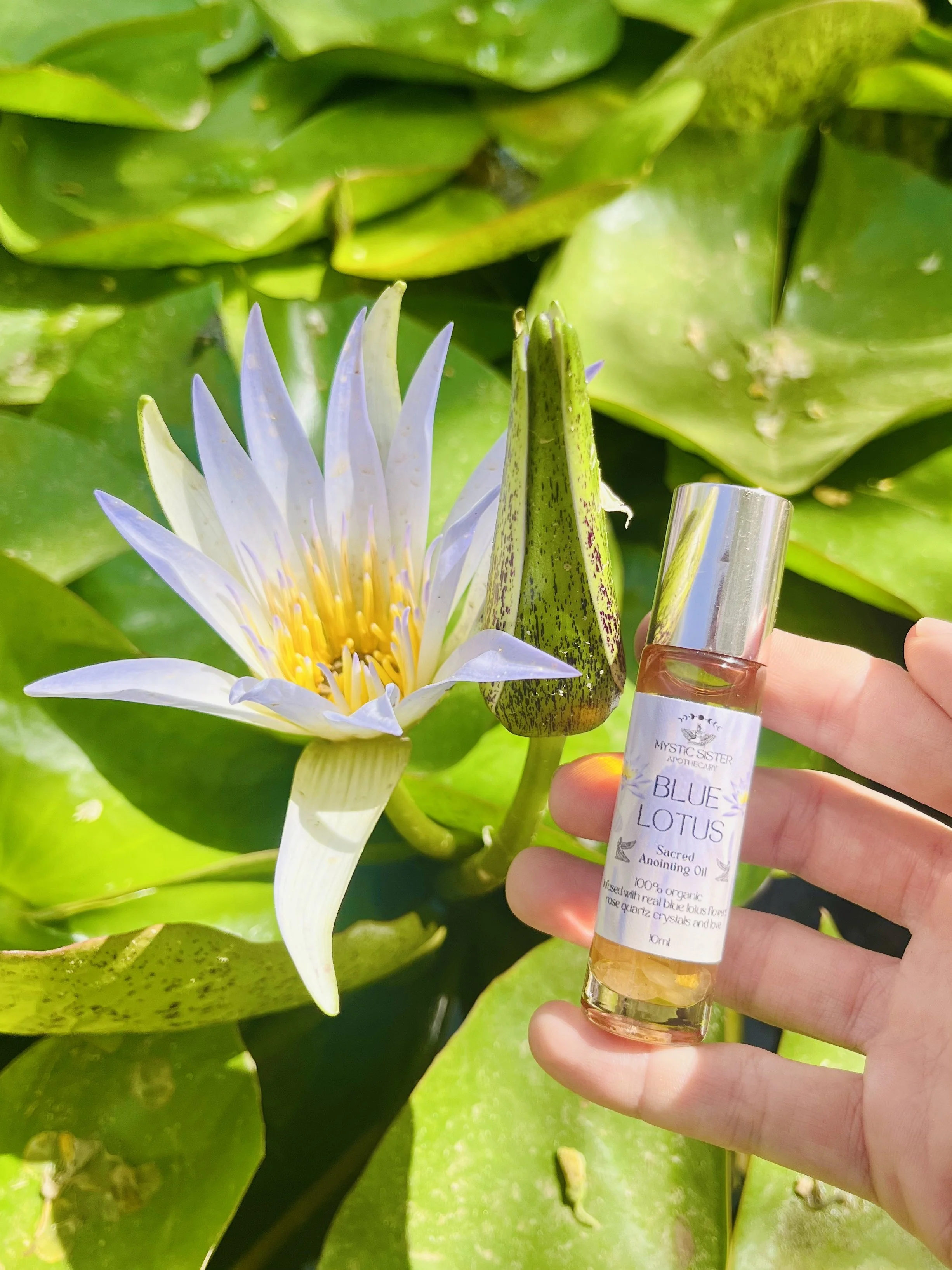 bluelotusoil.jpg