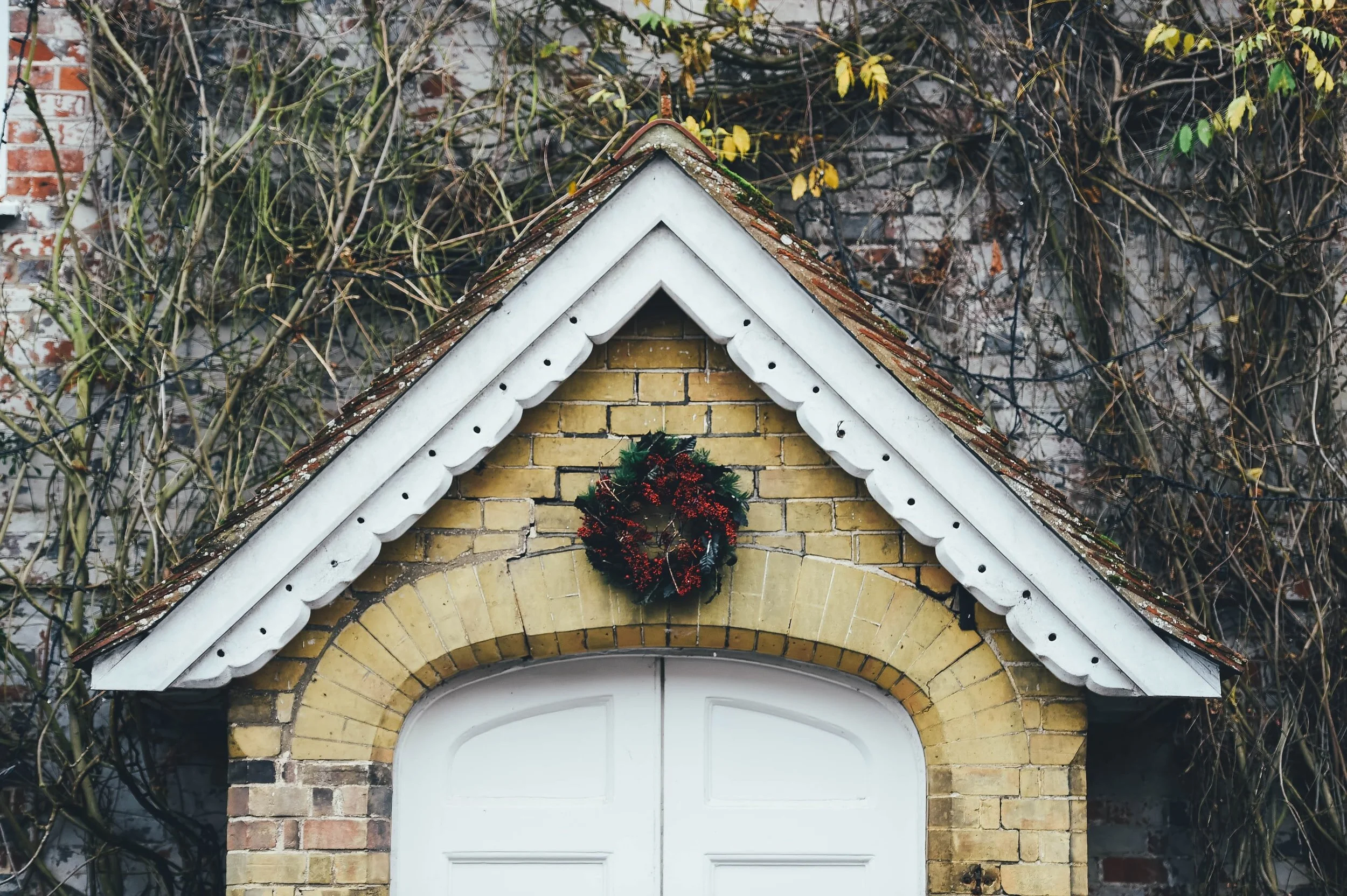 unsplash-image-5pm2Q0hZSb8.jpg