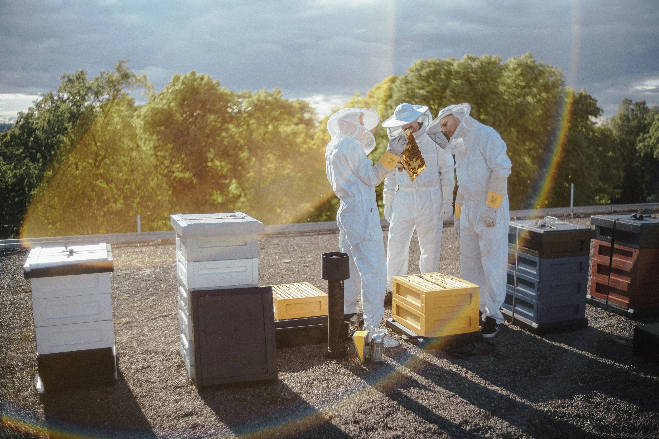 Copy of L1009814.jpeg