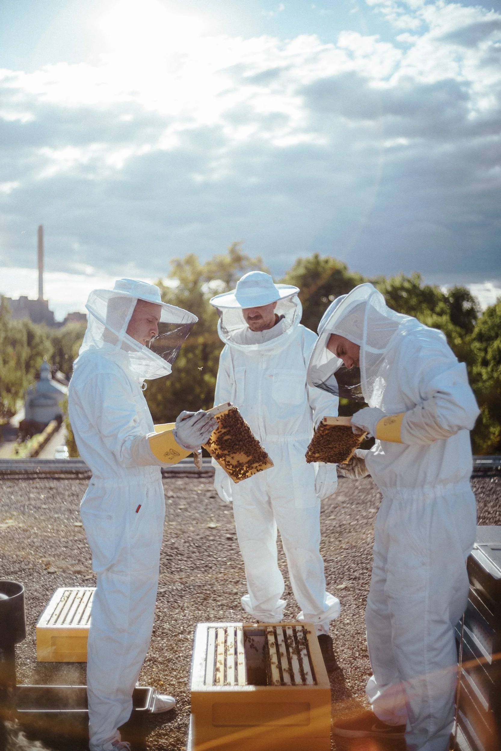 Copy of L1009825.jpeg