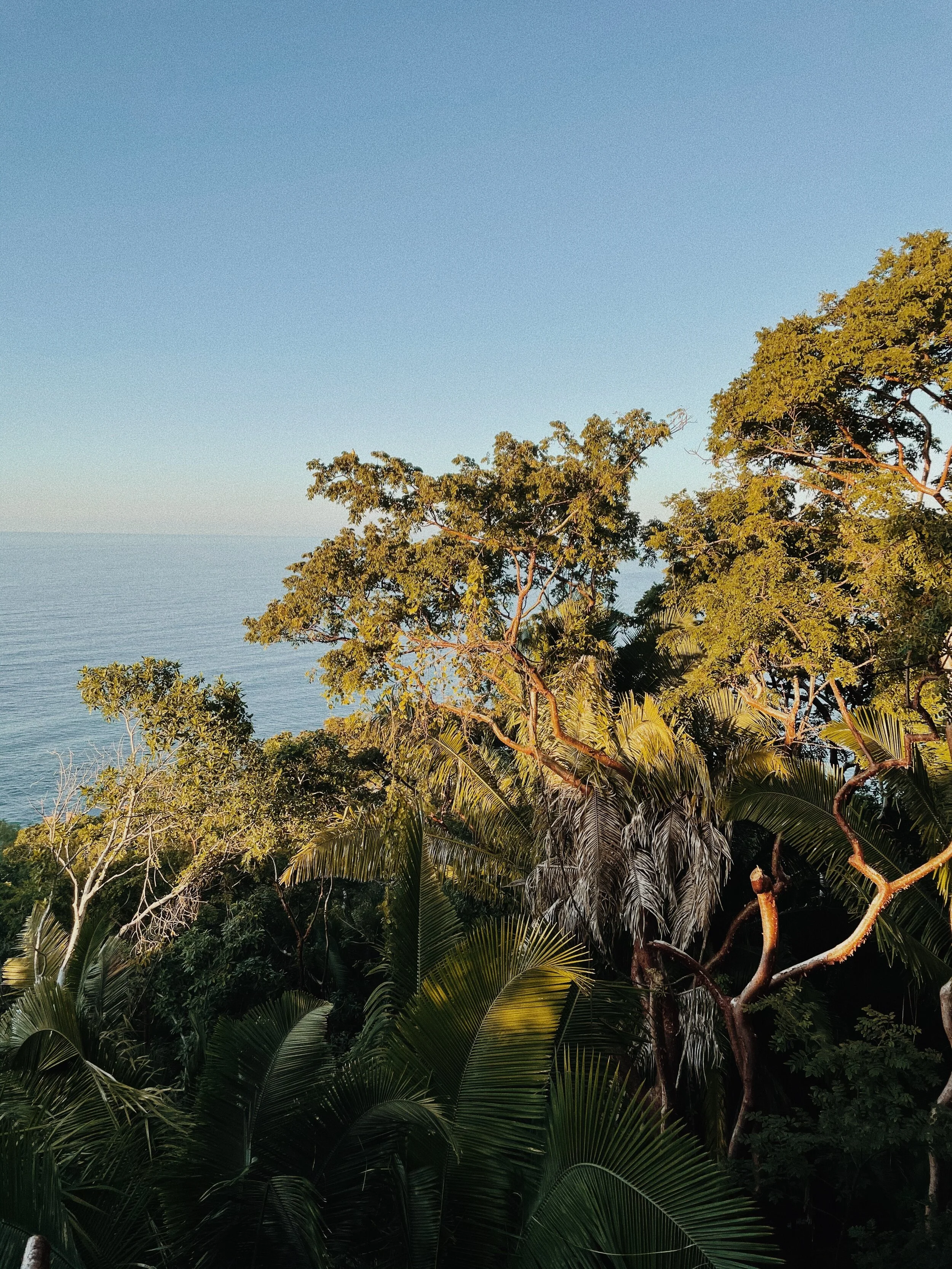 One &amp; Only Mandarina