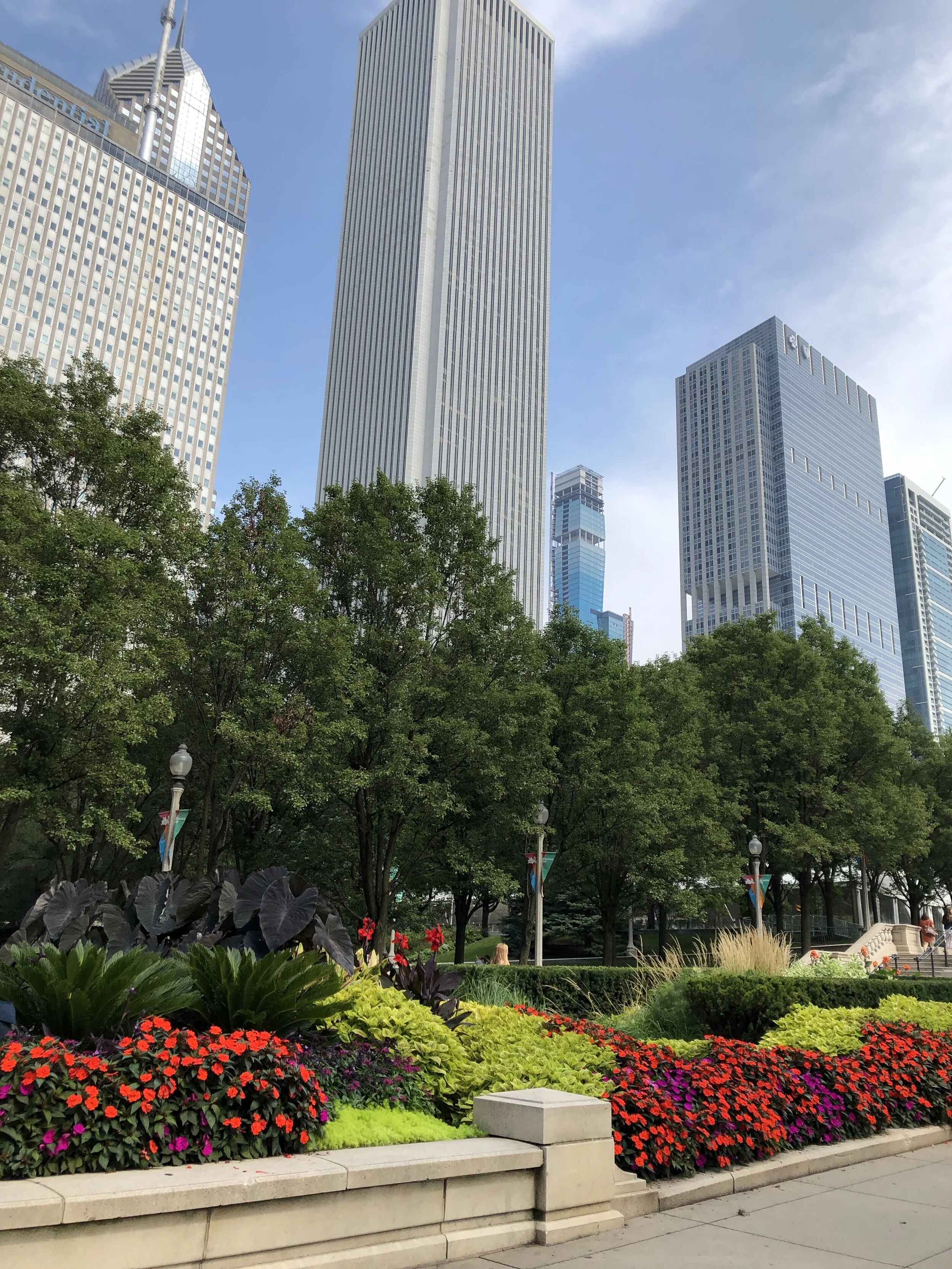 Chicago 2019