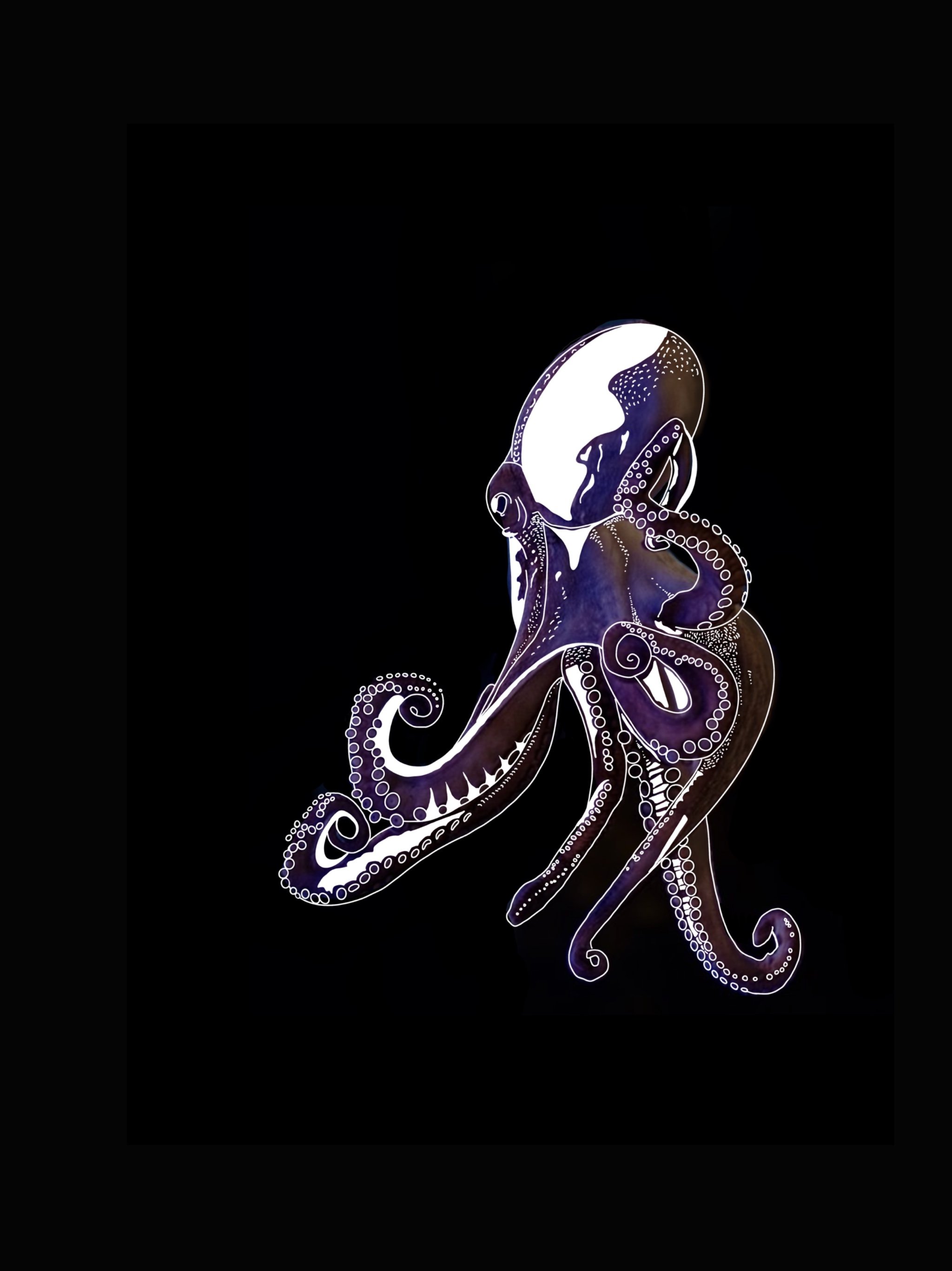   The Octopus     Medium: Digital Art    by Aspen Garner  