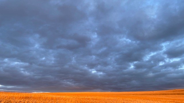   Orange and Blue Antelope    by Kelli Moeller 