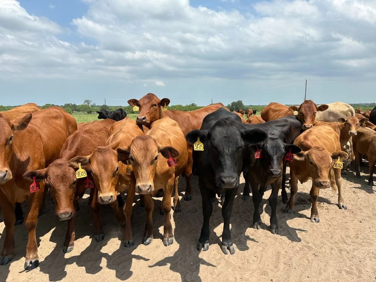 Thank You for Being Here