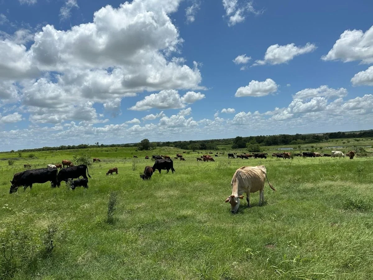 Thank you for being here-2.jpeg