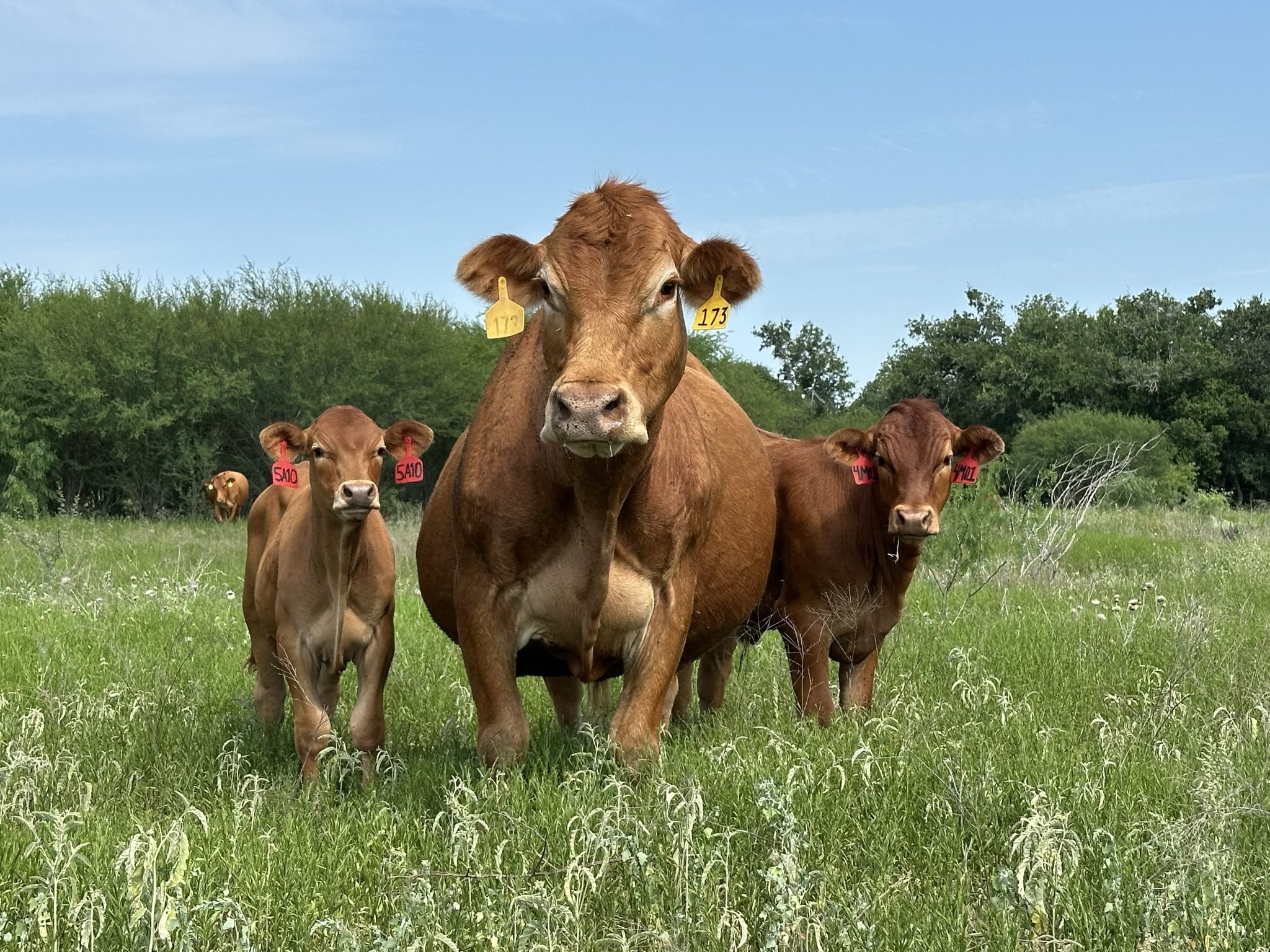 Thank you for being here-4.jpeg