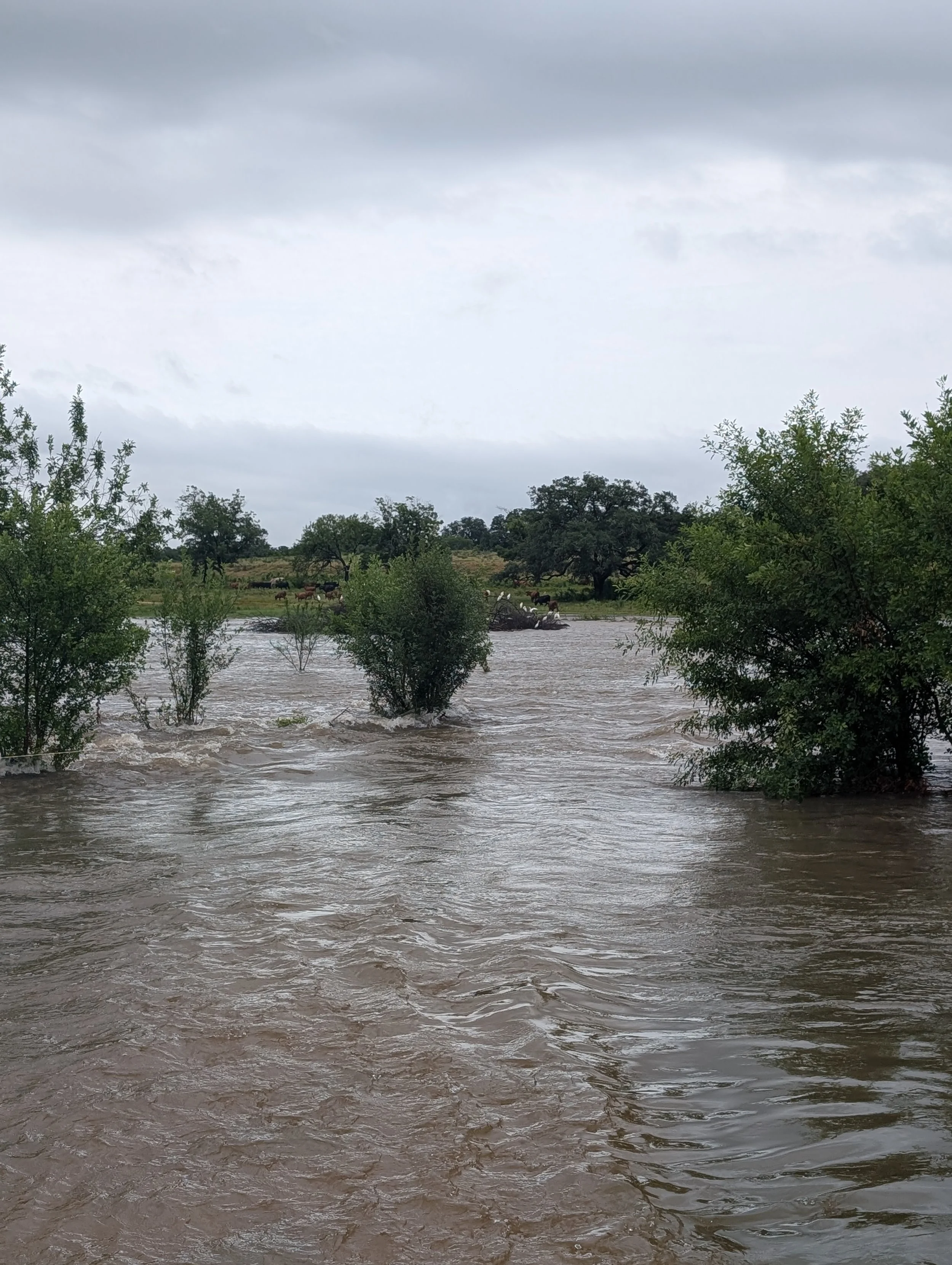 Field Report: Fields, Flooding, &amp; Food