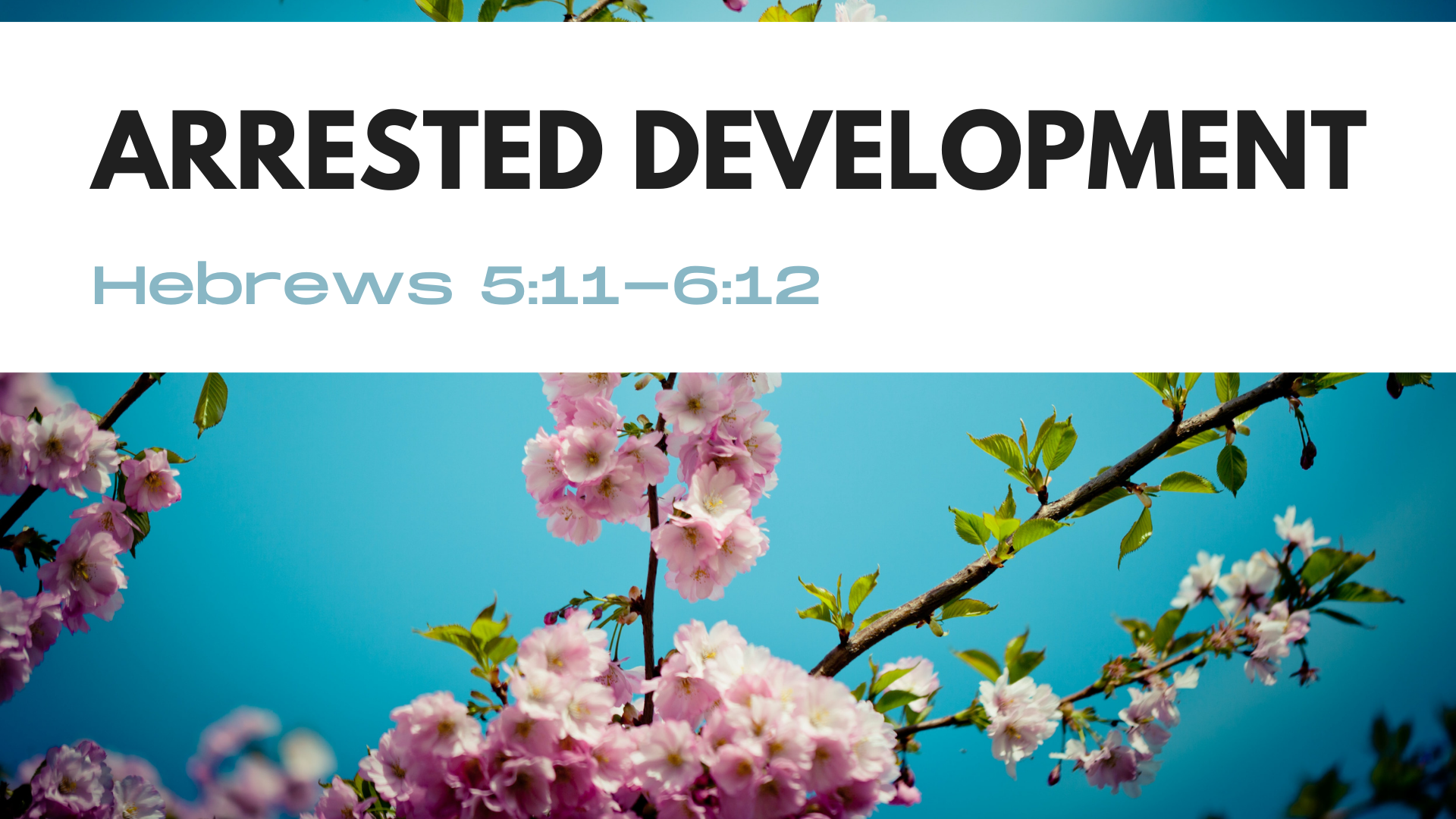 Hebrews 5:11-6:12 "Arrested Development"