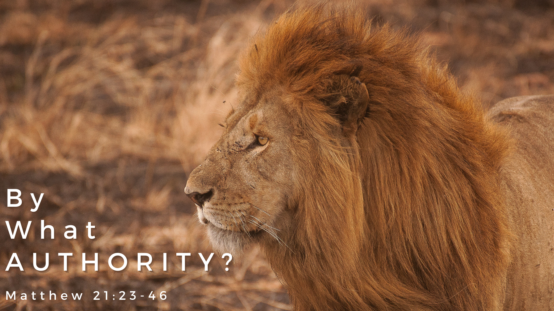 Matthew 21:22-46 "By What Authority"