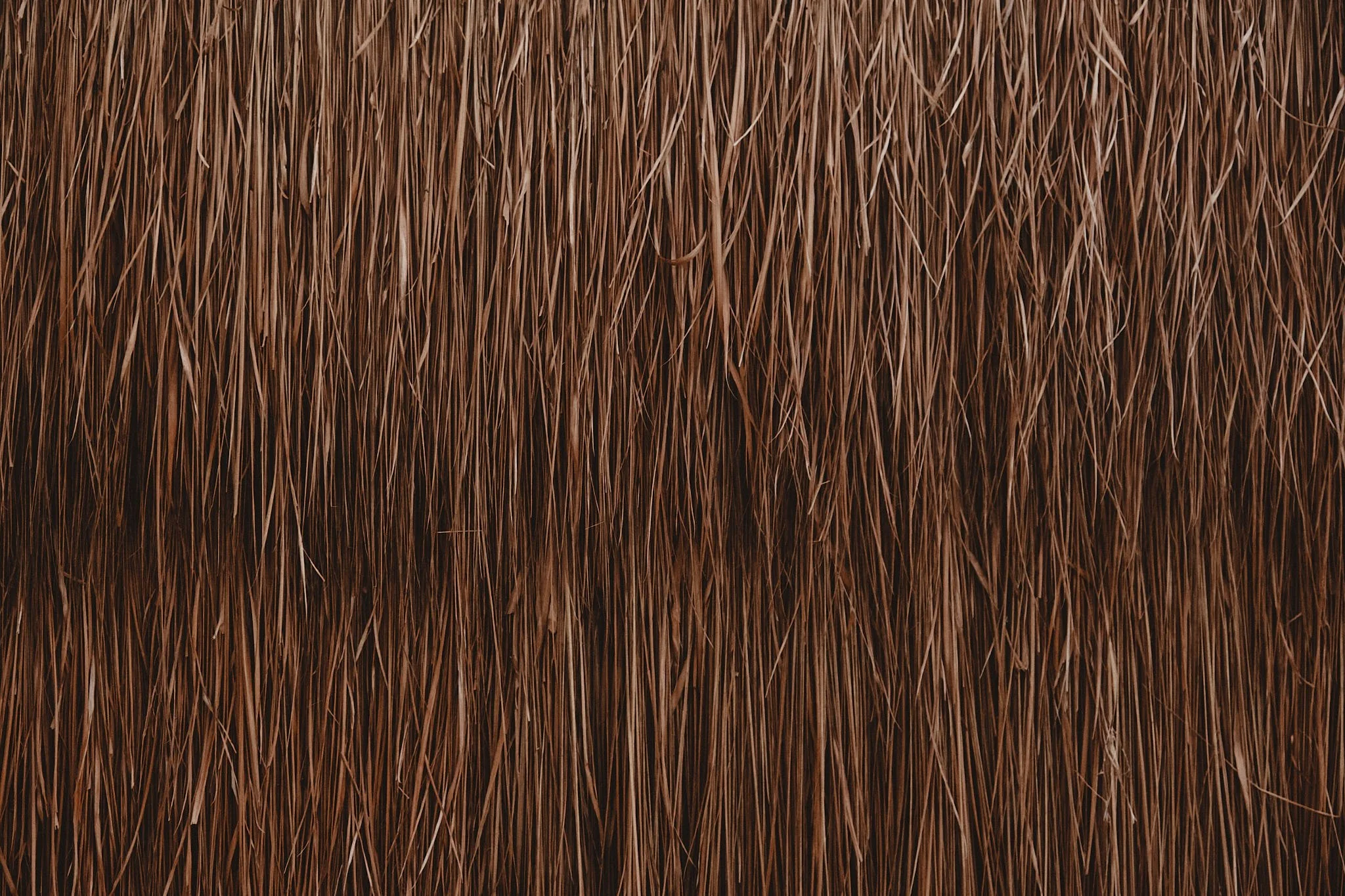 R+T Wedding Highlights Cloud 045.jpg