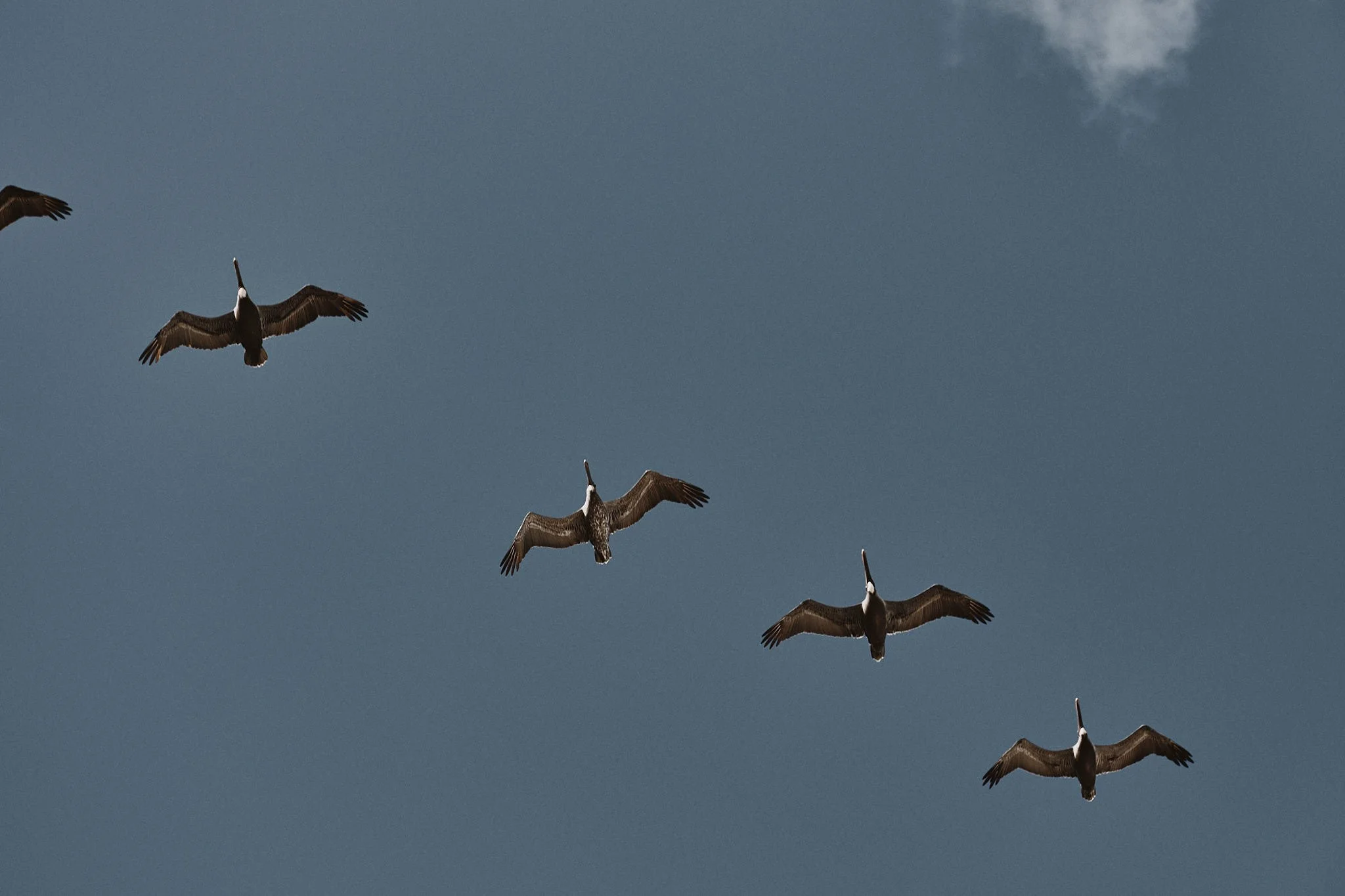 R+T Wedding Highlights Cloud 062.jpg