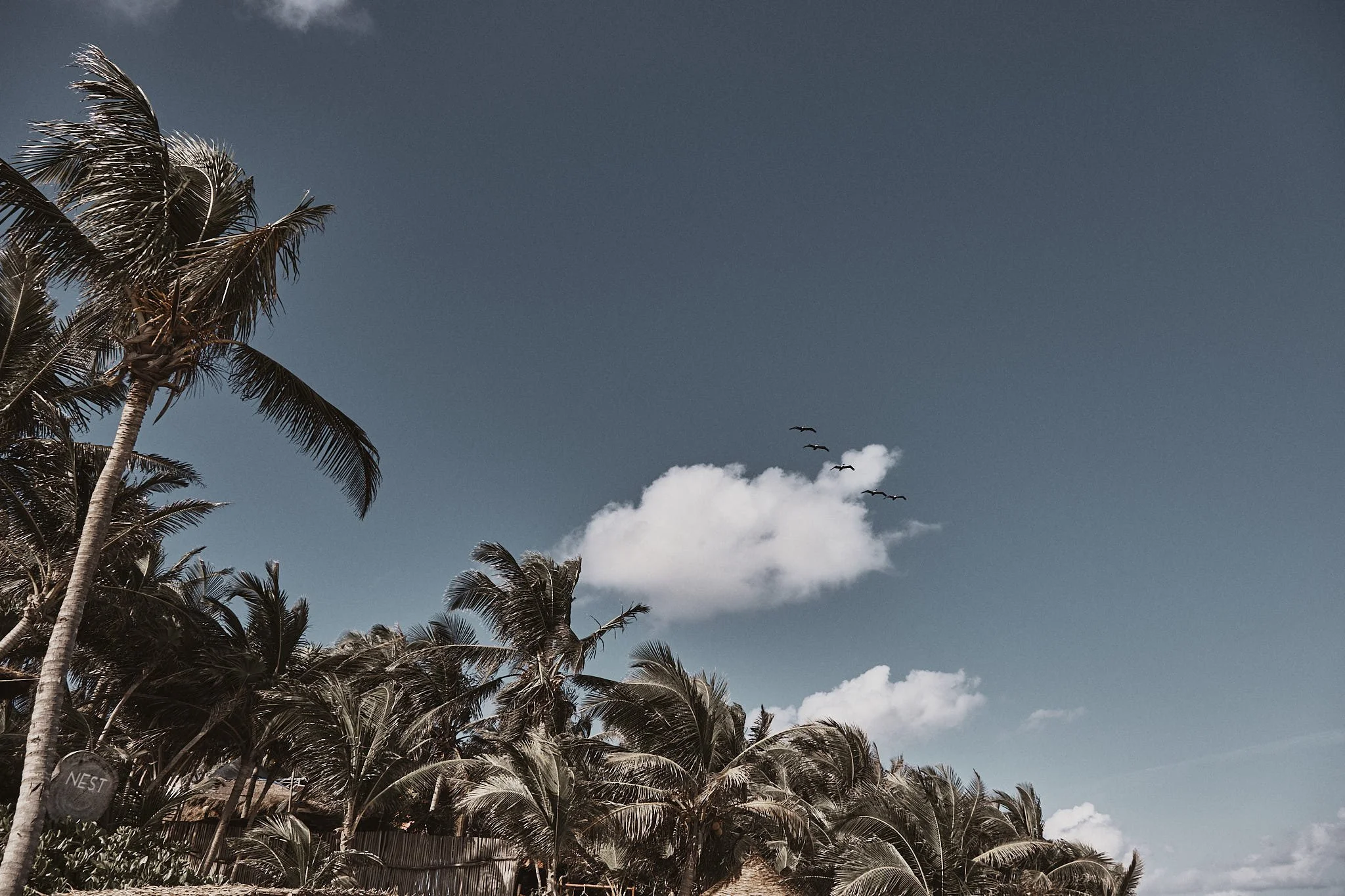 R+T Wedding Highlights Cloud 063.jpg