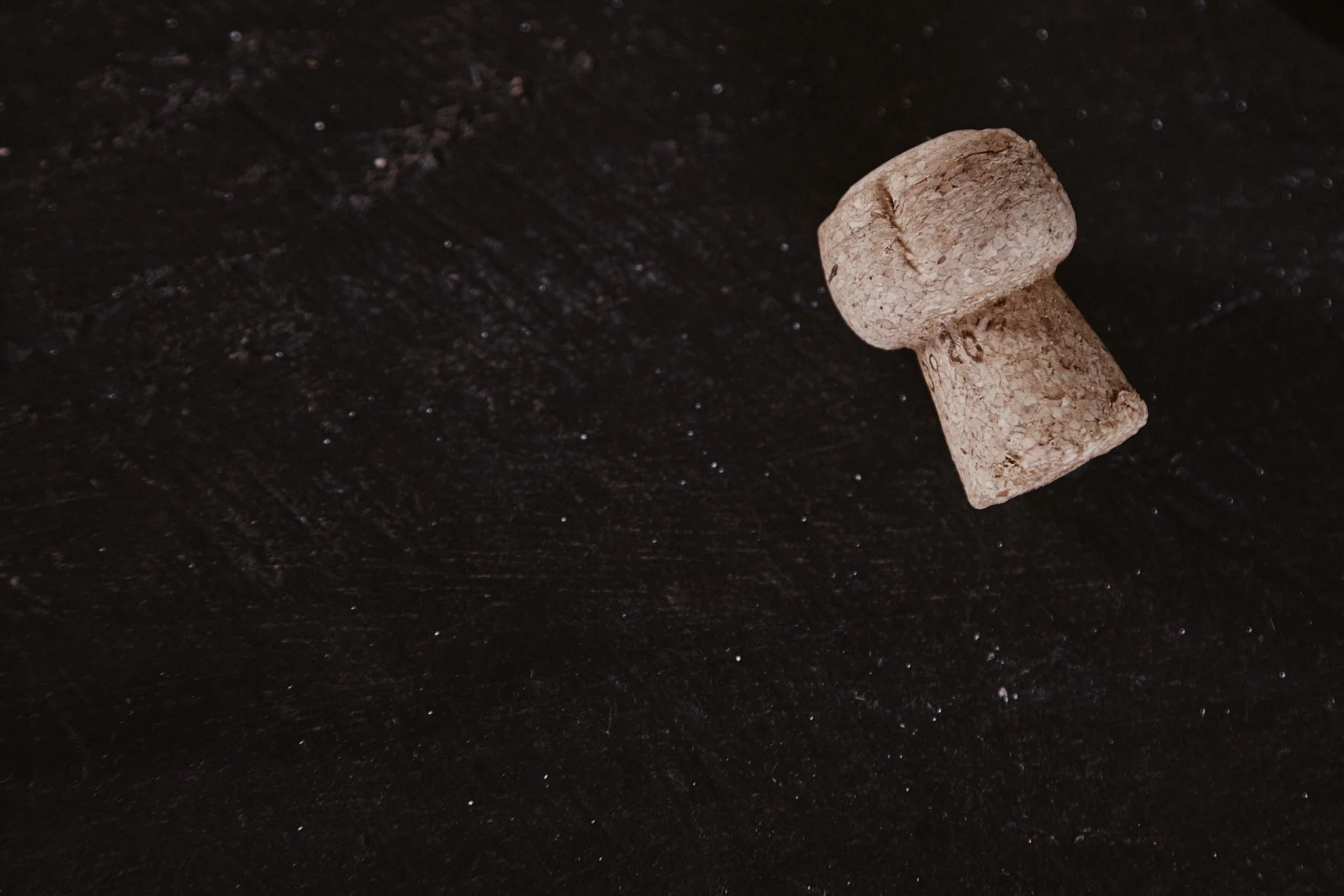 R+T Wedding Highlights Cloud 091.jpg