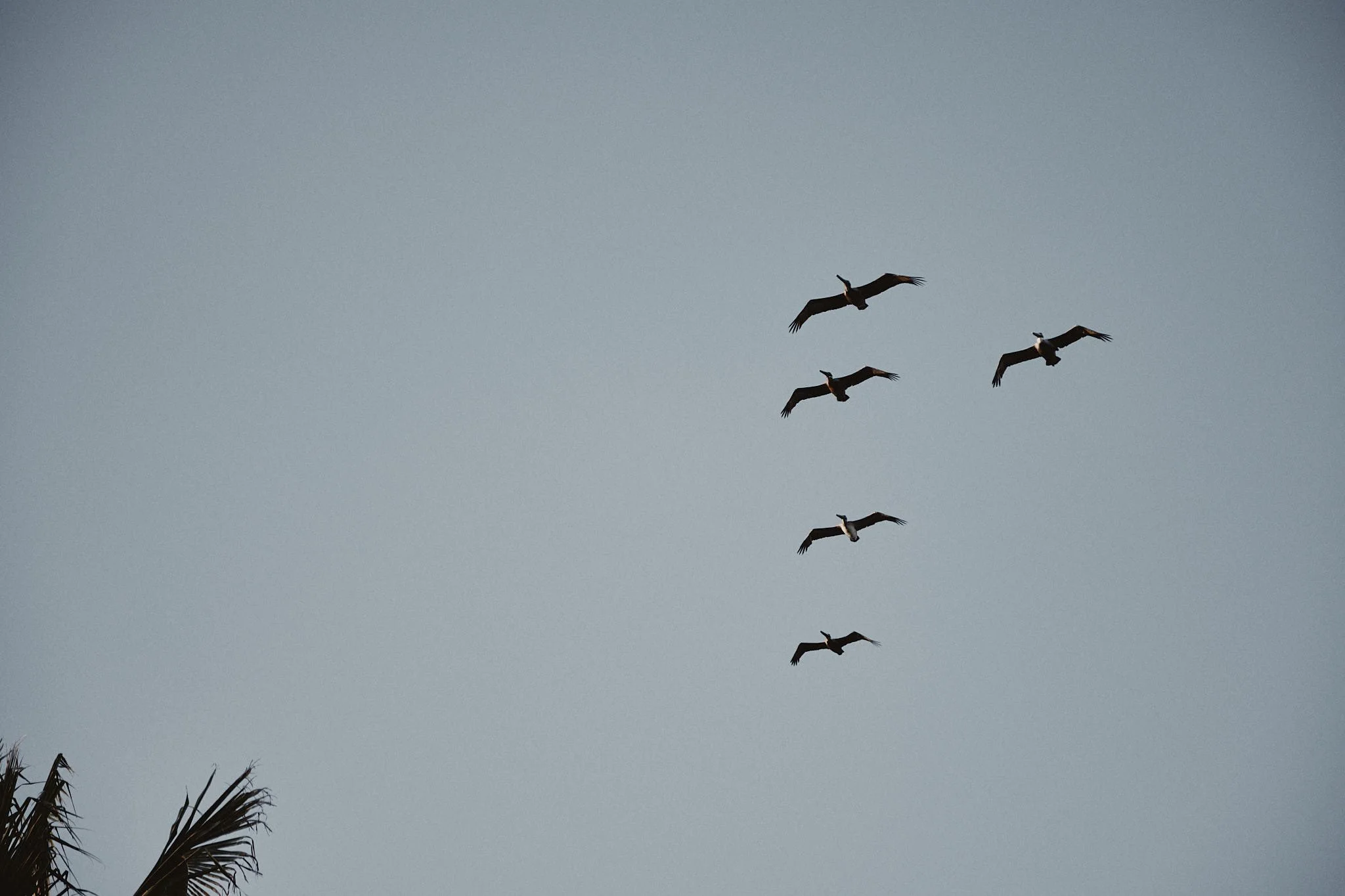 R+T Wedding Highlights Cloud 156.jpg