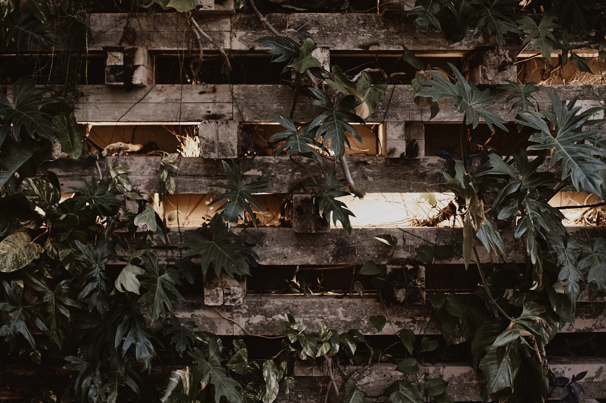 R+T Wedding Highlights Cloud 185.jpg