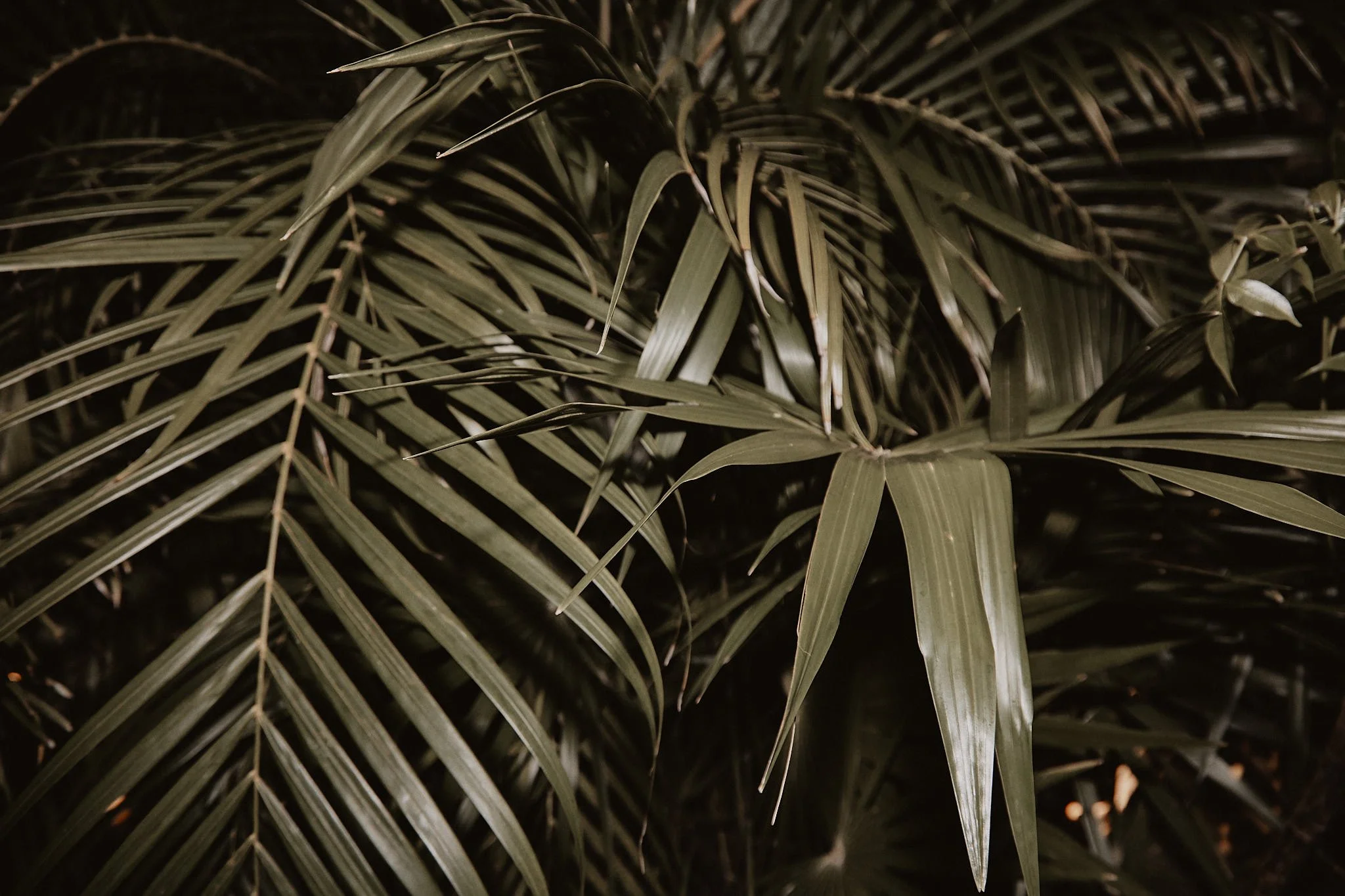 R+T Wedding Highlights Cloud 231.jpg