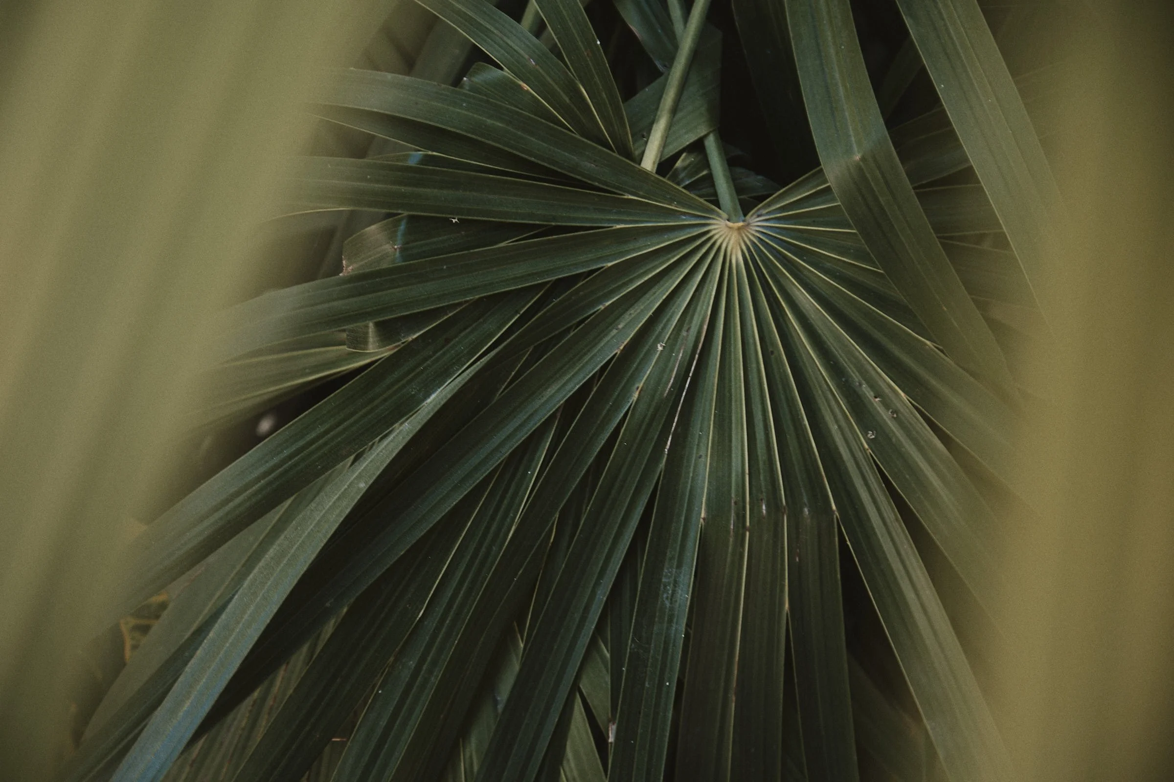 T+J Wedding Cloud006.jpg