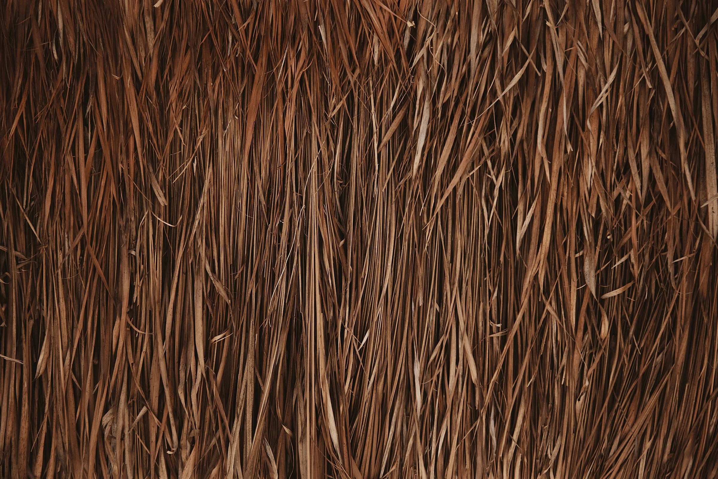 T+J Wedding Cloud004.jpg