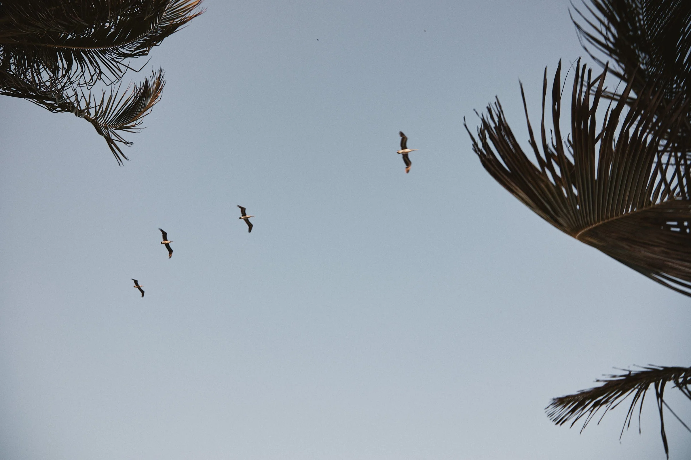 T+J Wedding Cloud200.jpg