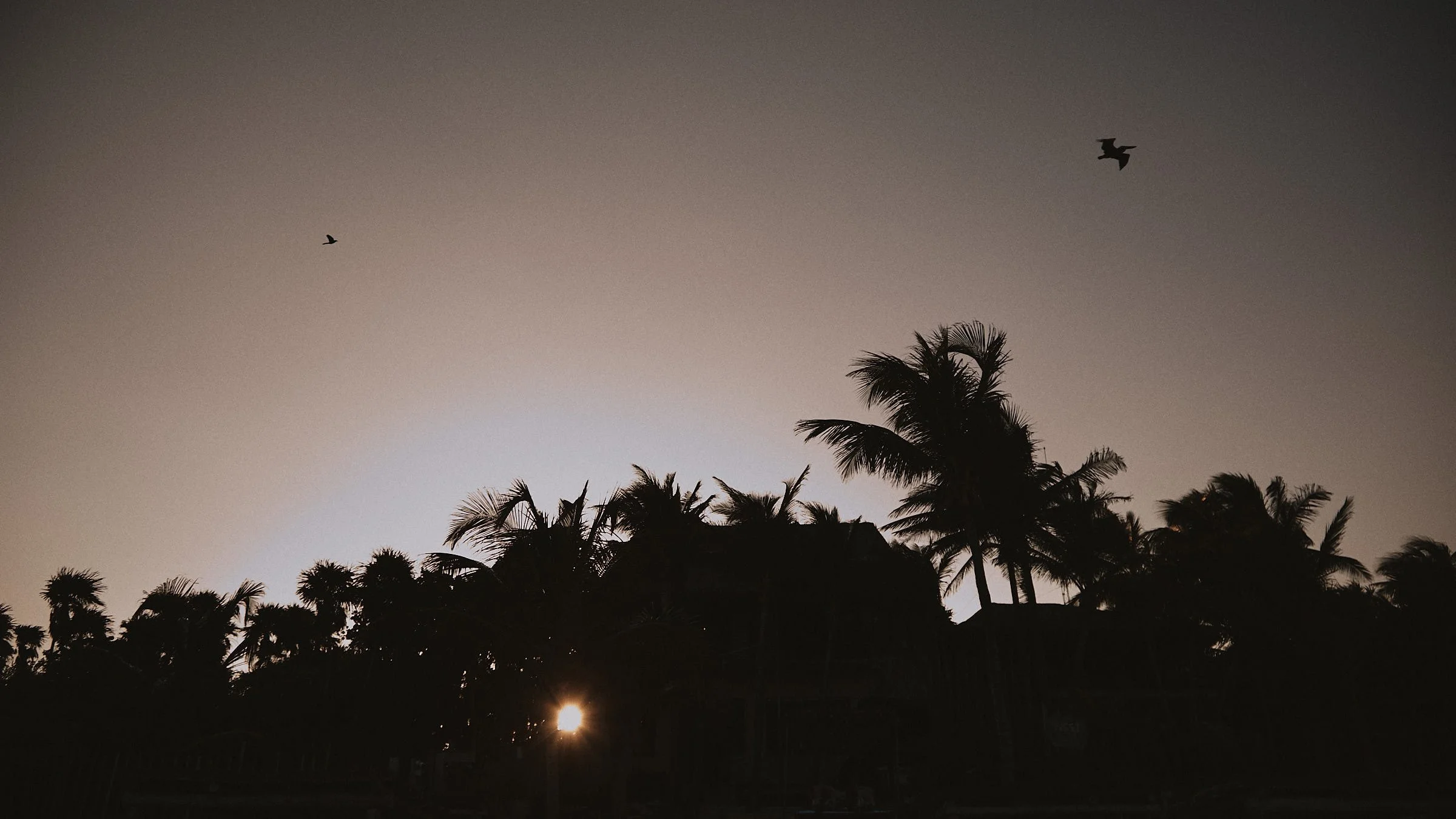 T+J Wedding Cloud203.jpg