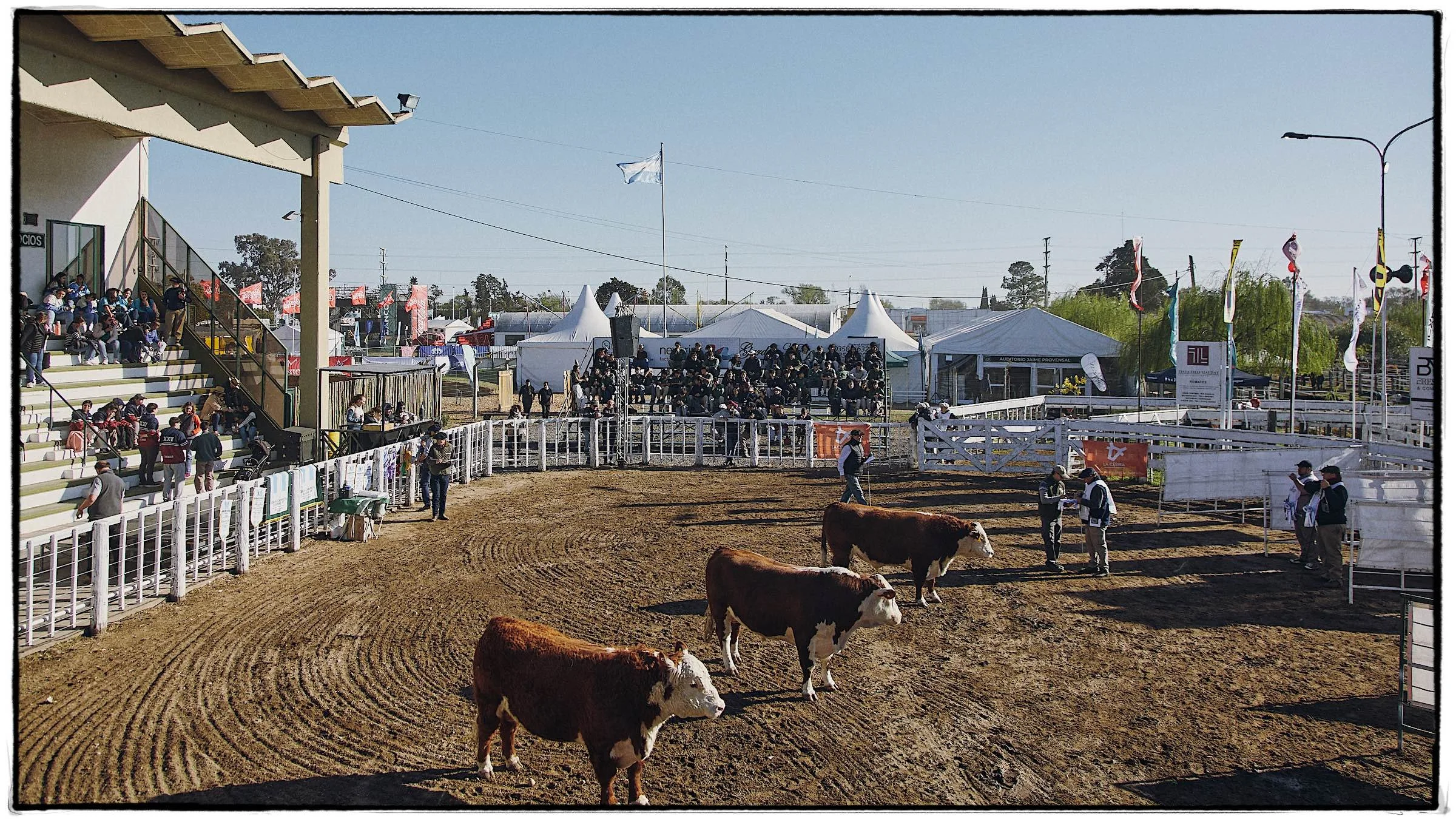 Rural_RC_2025_059.jpg