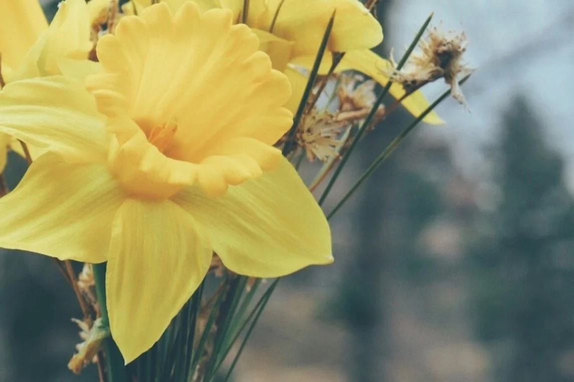 AWAKEN. A Spring Solstice Retreat