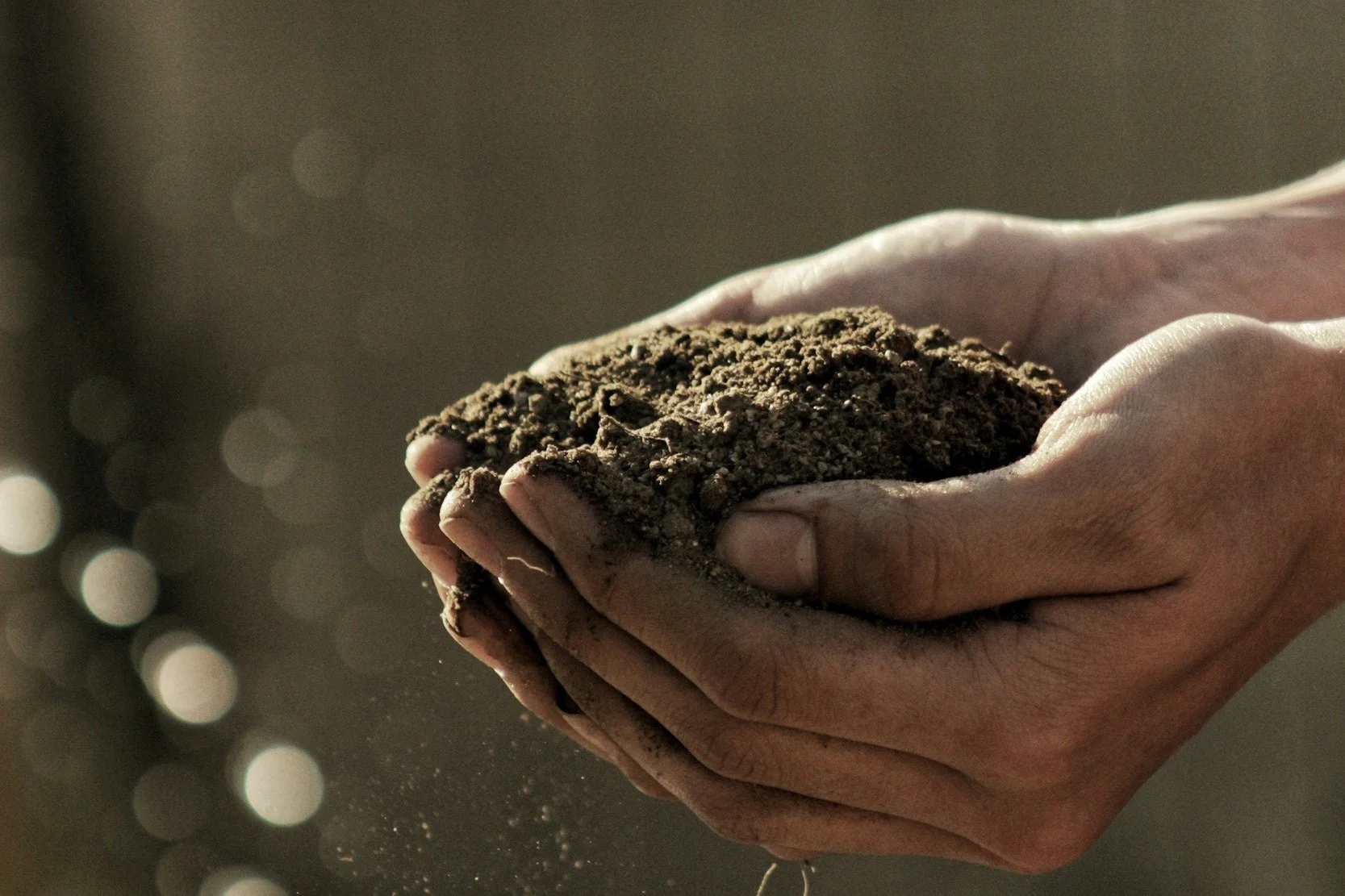 Hands holding soil - Helen Moss Therapy