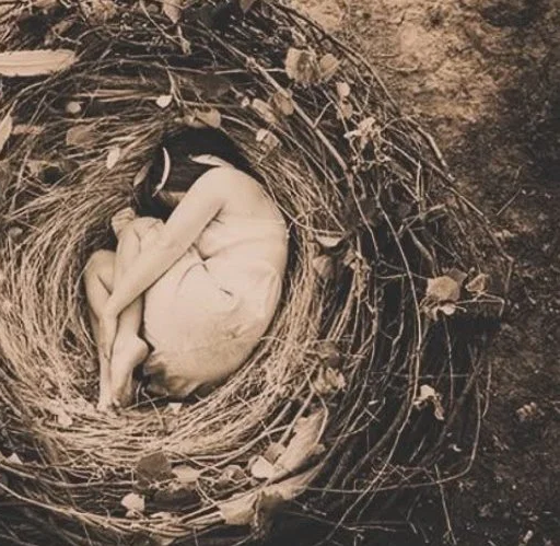 Women in a nest - Helen Moss Therapy