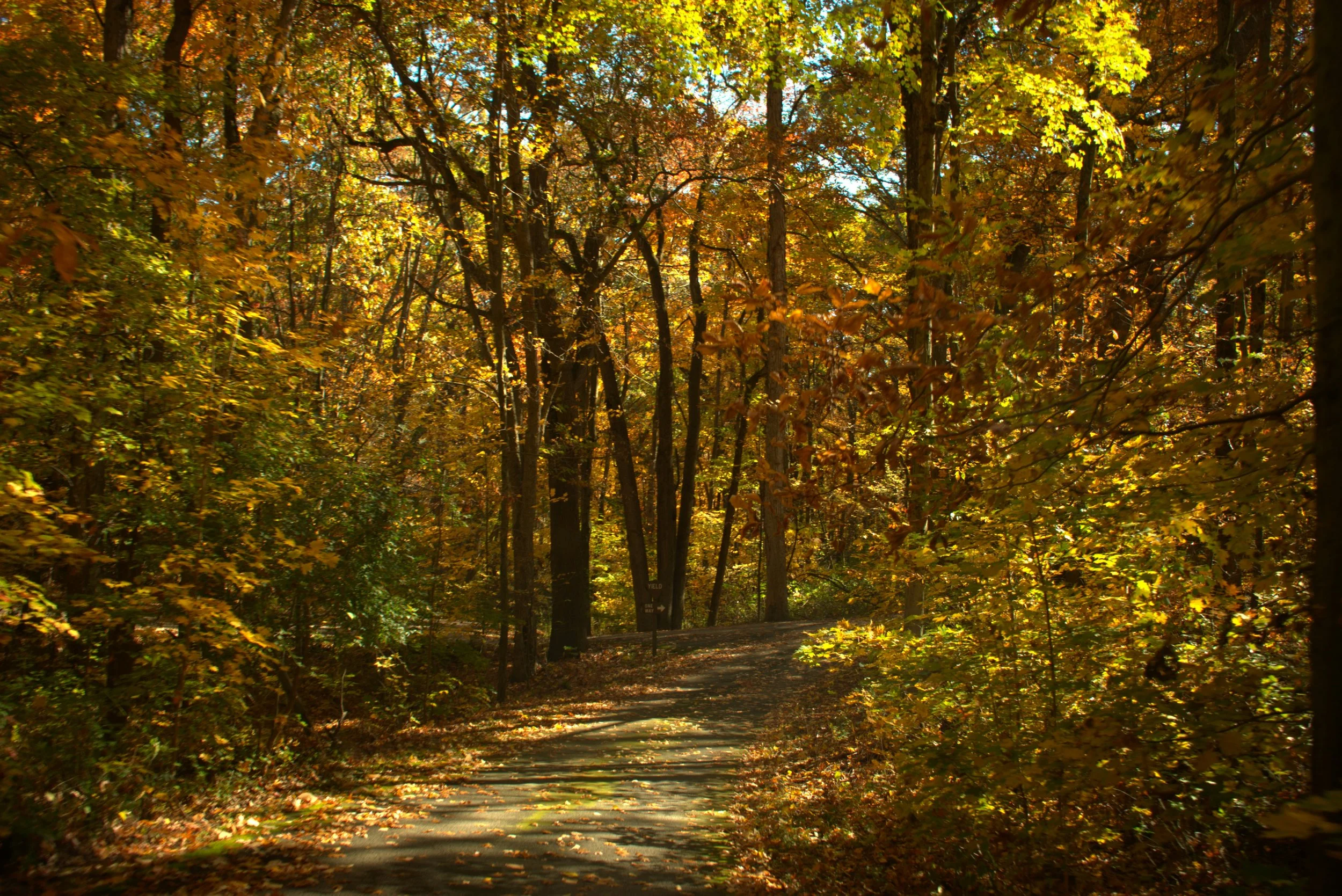 Mindful Nature Hikes: May Hike