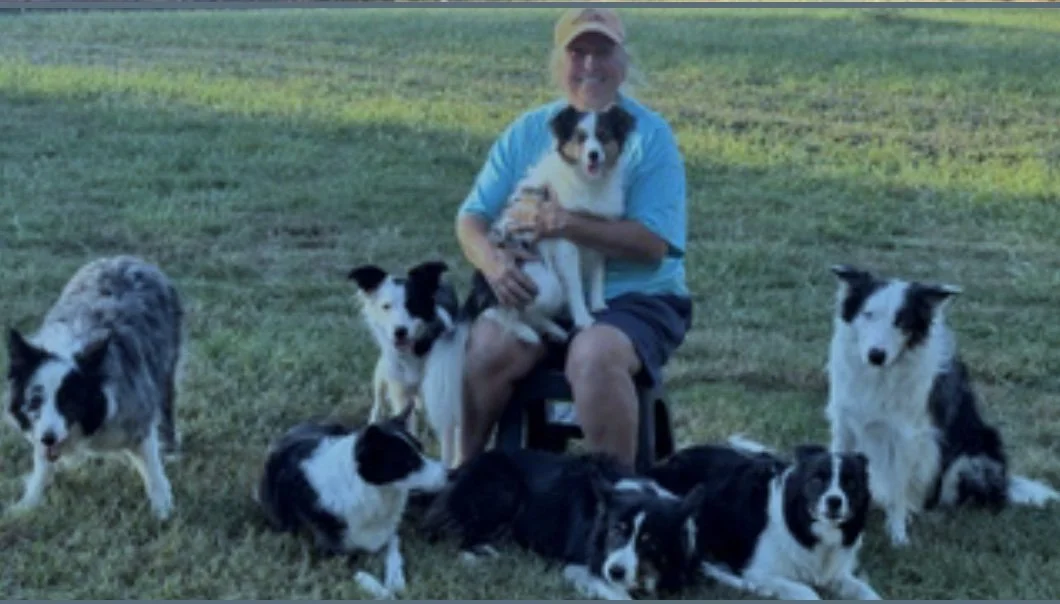 Lisa Schmit Agility Distance Seminars April 14, 15, 16 and possibly April 20