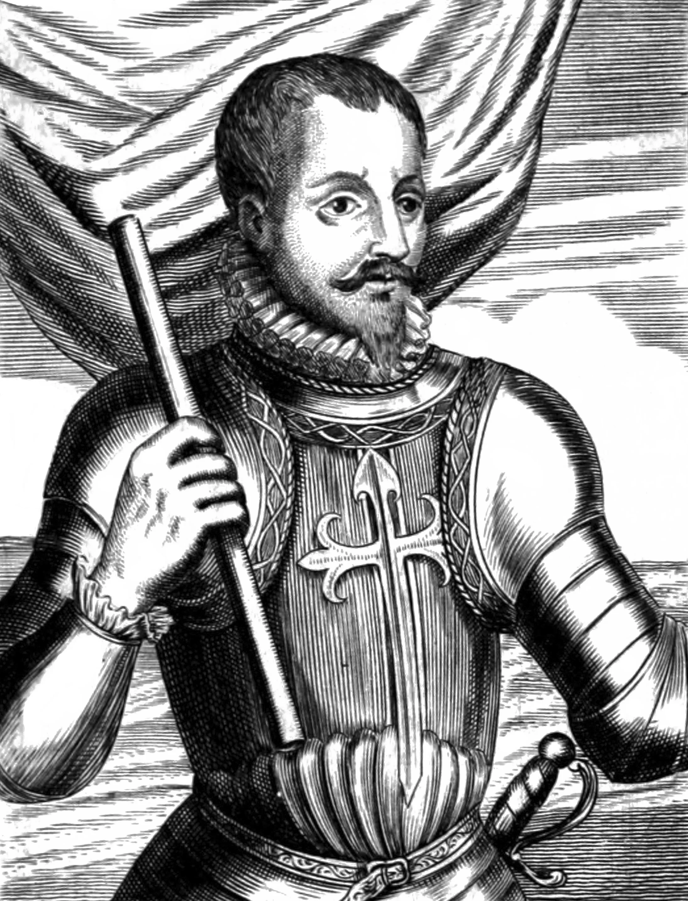 The Viceroy Blafco Nunez Vela