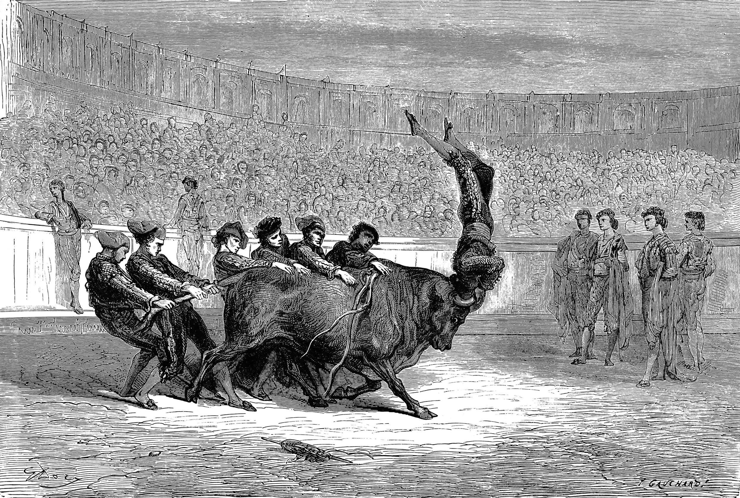 Portuguese Corrida at Seville, the Pegadores