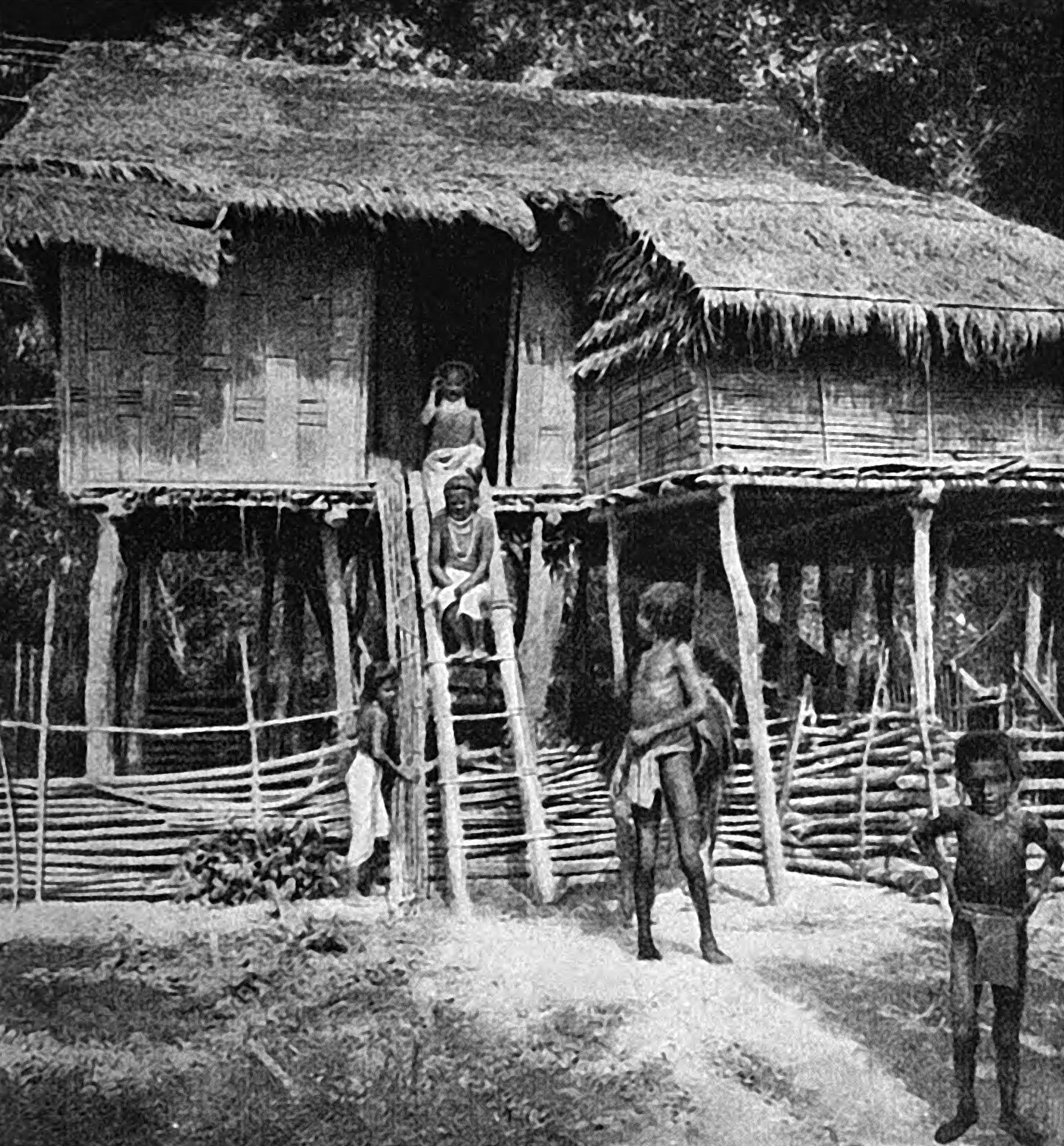 Moi Chief's House raised on tree trunks against tigers