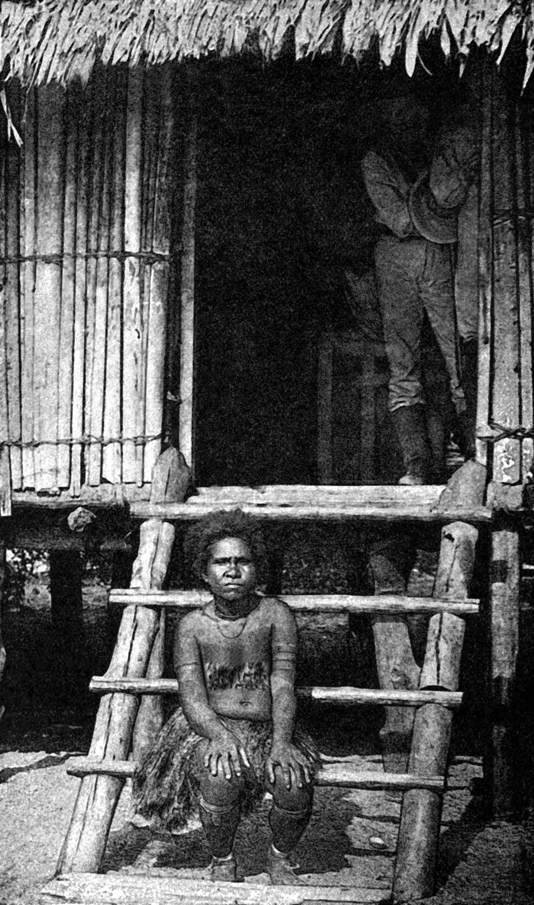 A New Guinea Queen