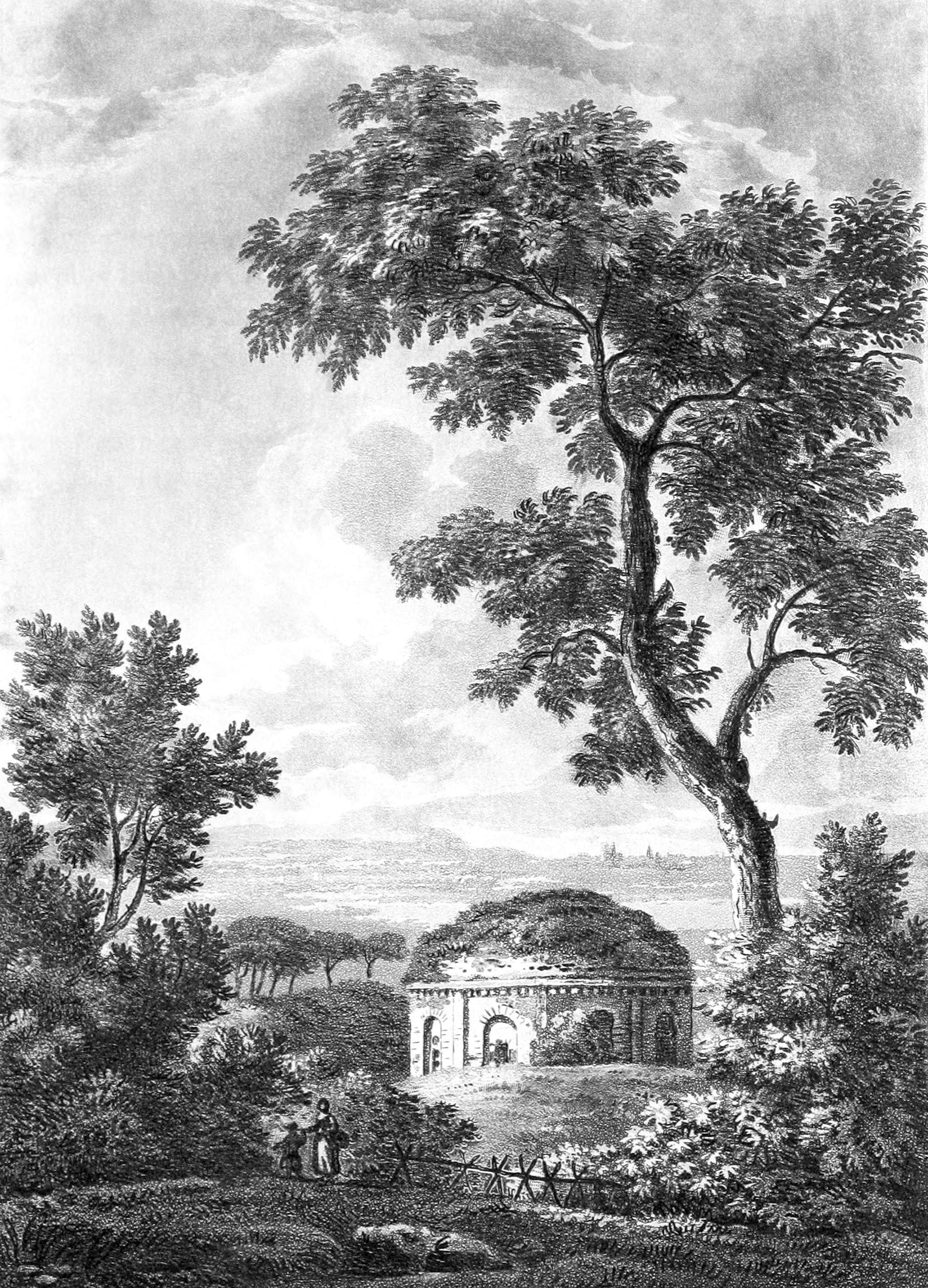 Temple of Tussis or the God of Coughing