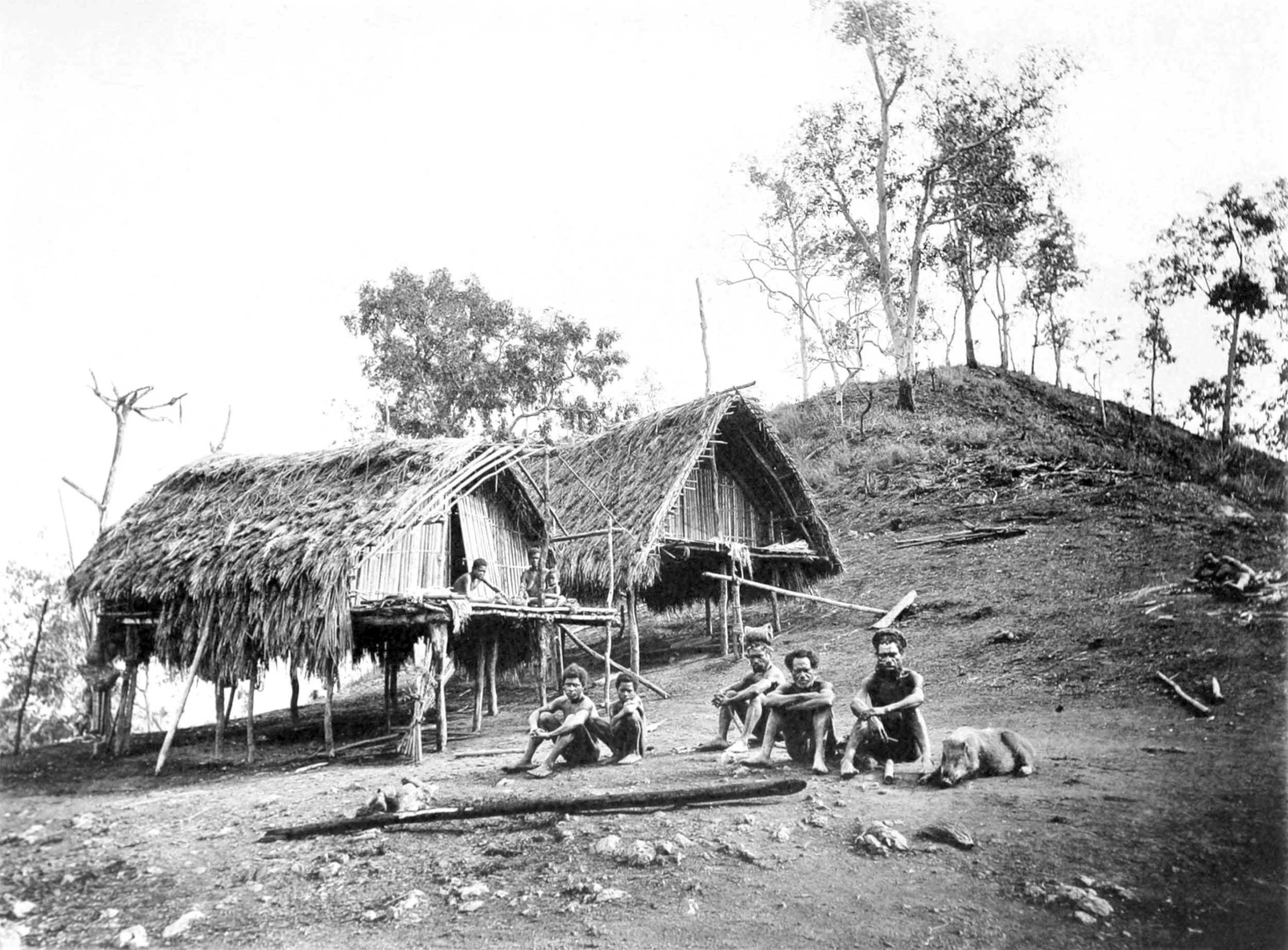 The Village Pet at Sadara Makara