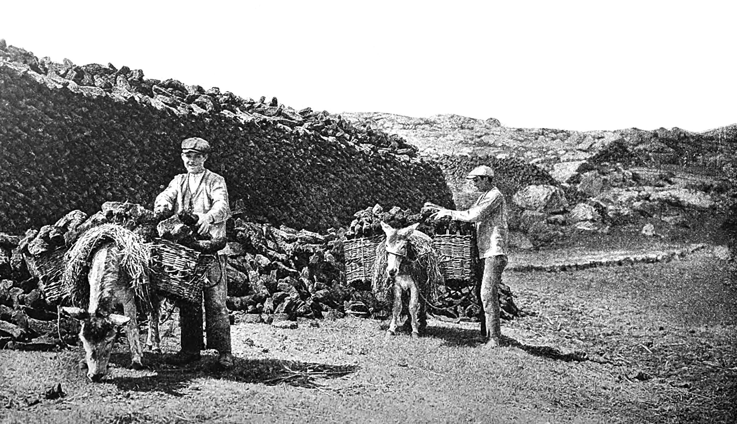 Irish Gossons stacking sods of peat