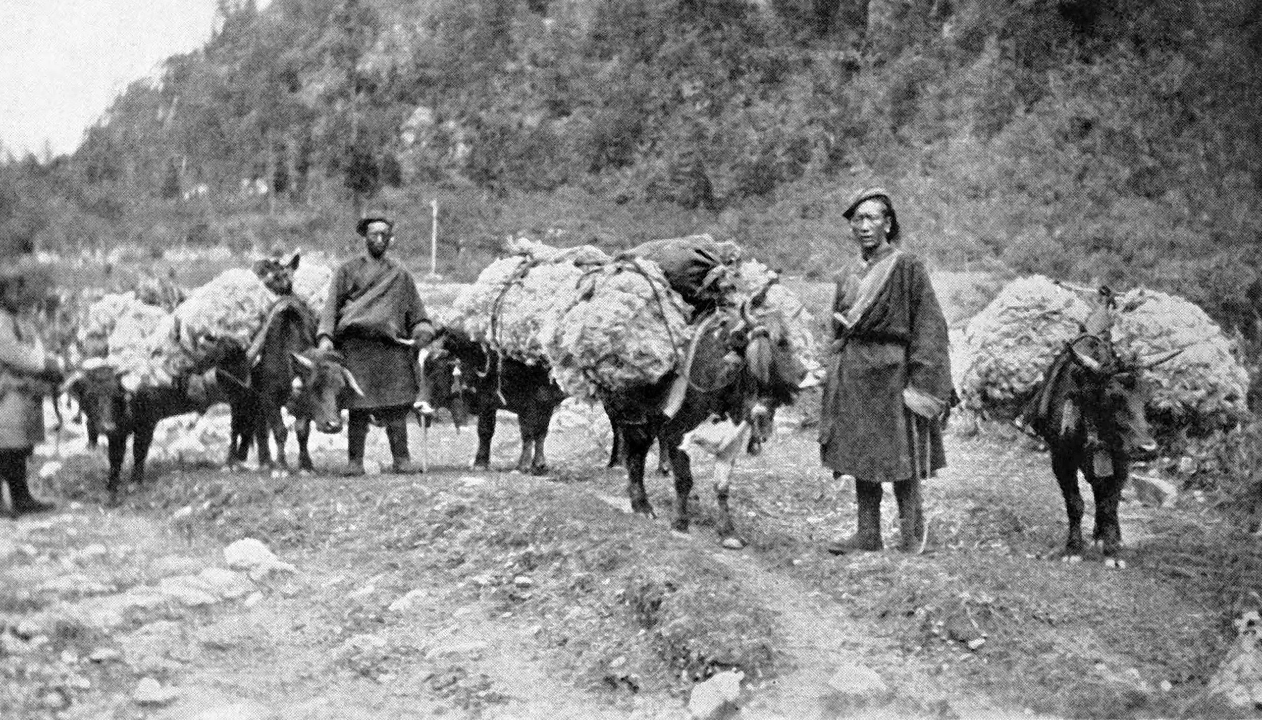 Tibet by Sir Charles Bell (1924)