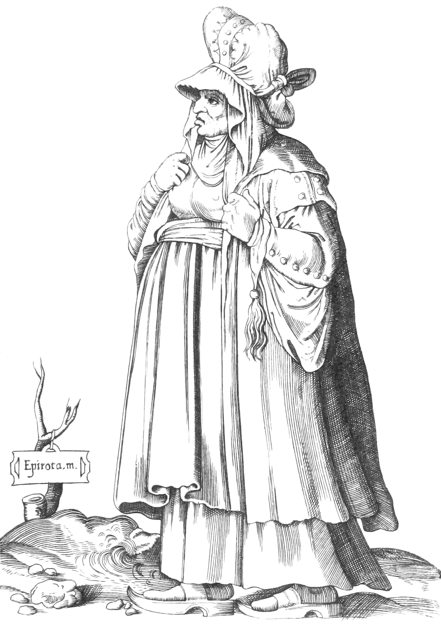 Pyrennes.jpg