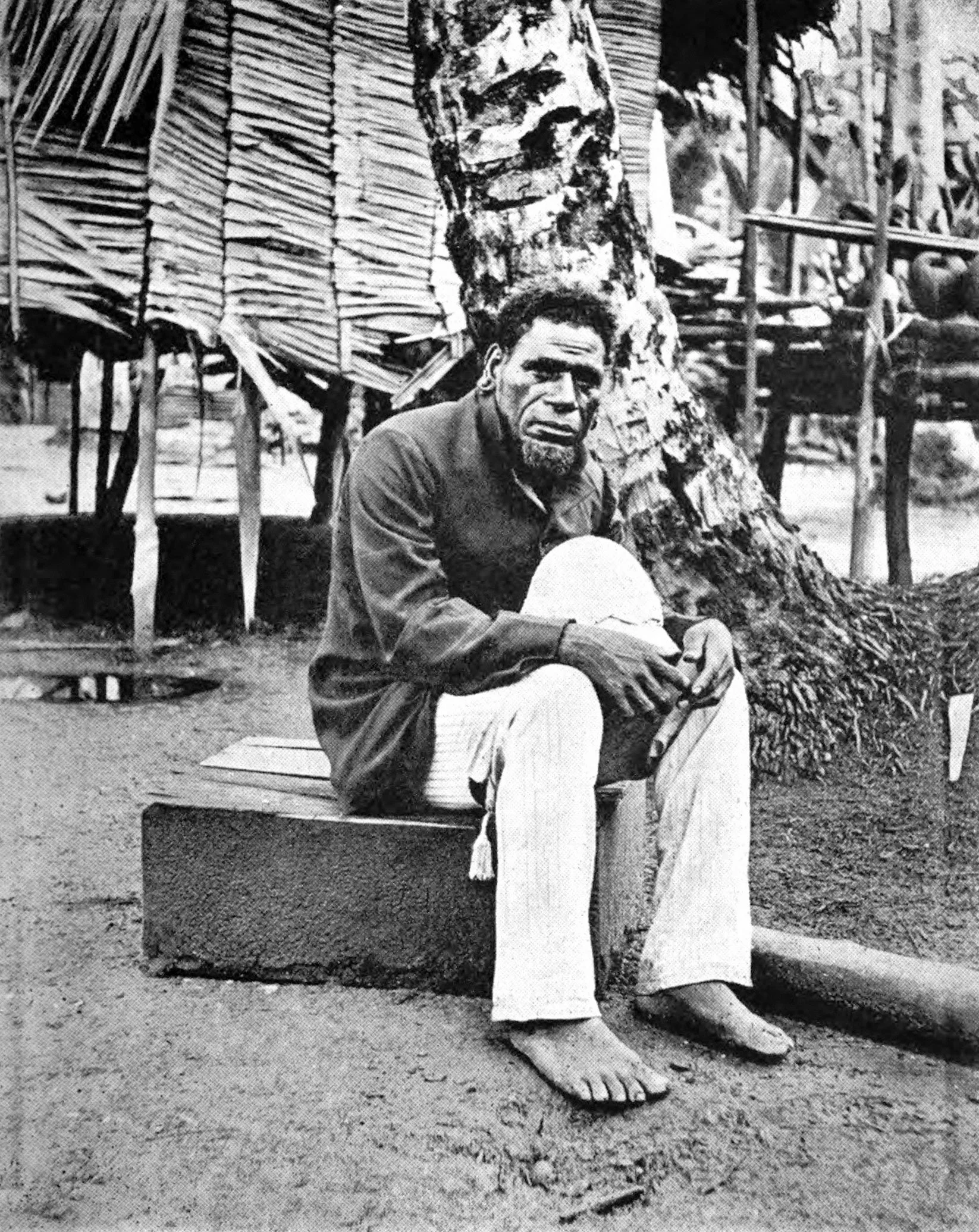 Bushimai, Chief of the Binandere People
