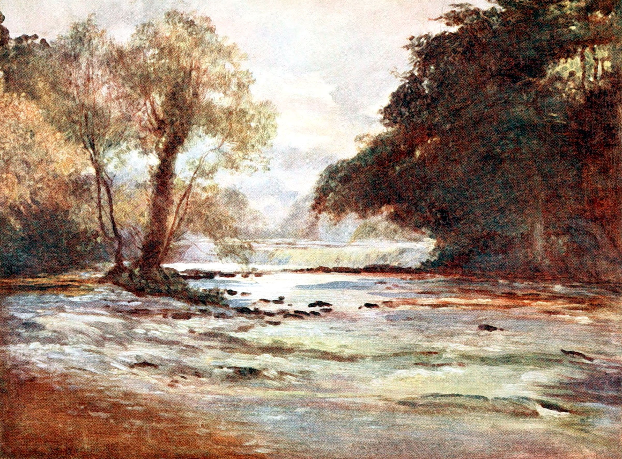 The Salmon Leap