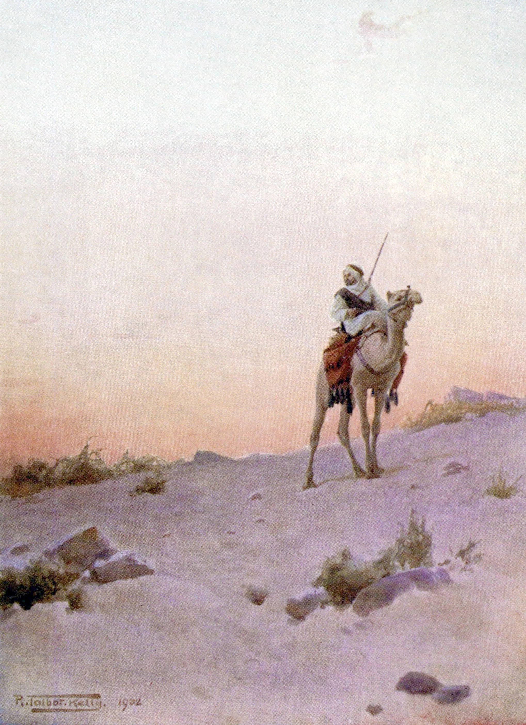 A Desert Scout