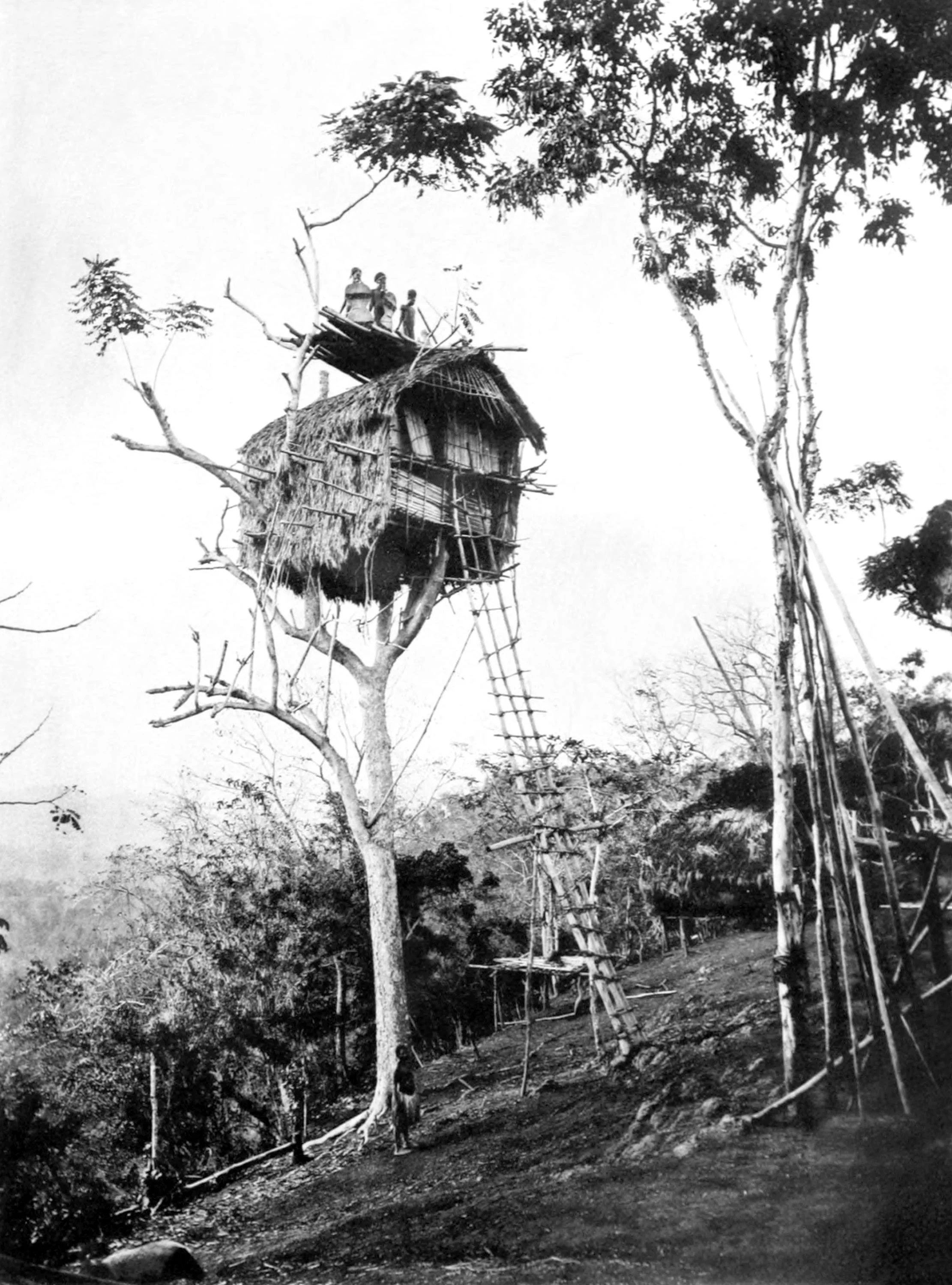Tree House, Koiari Village