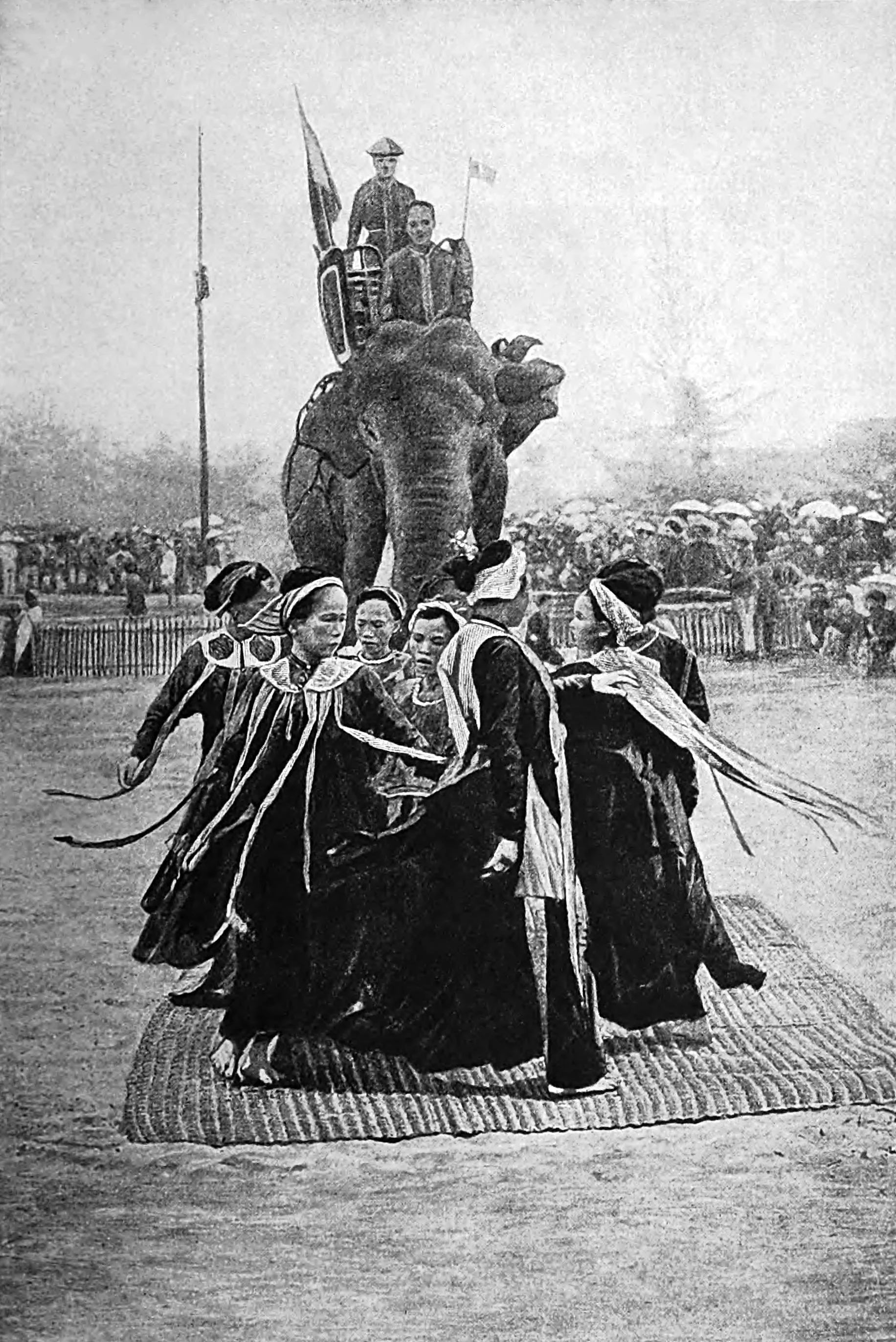 Elephant Presentation Dance at the Festivity of the Tet