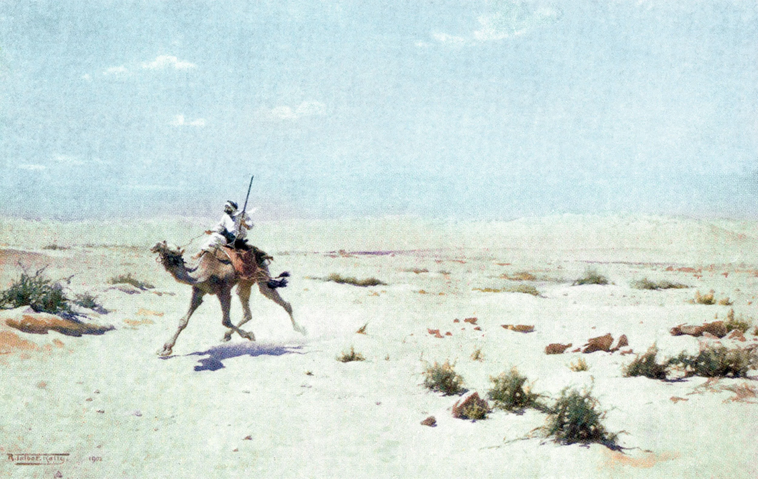 A Desert Courier